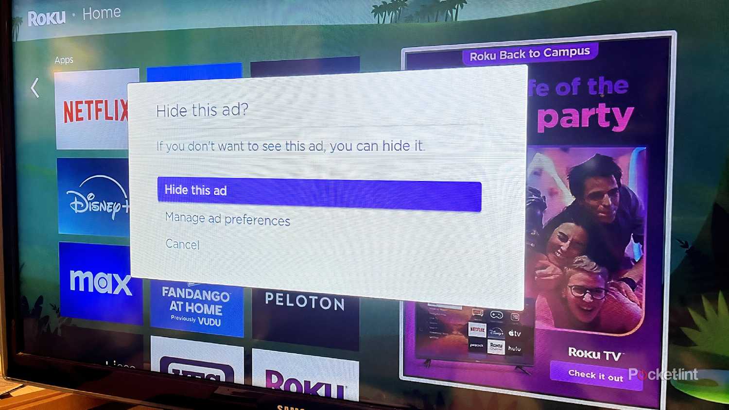 How to get rid of Roku TV ads