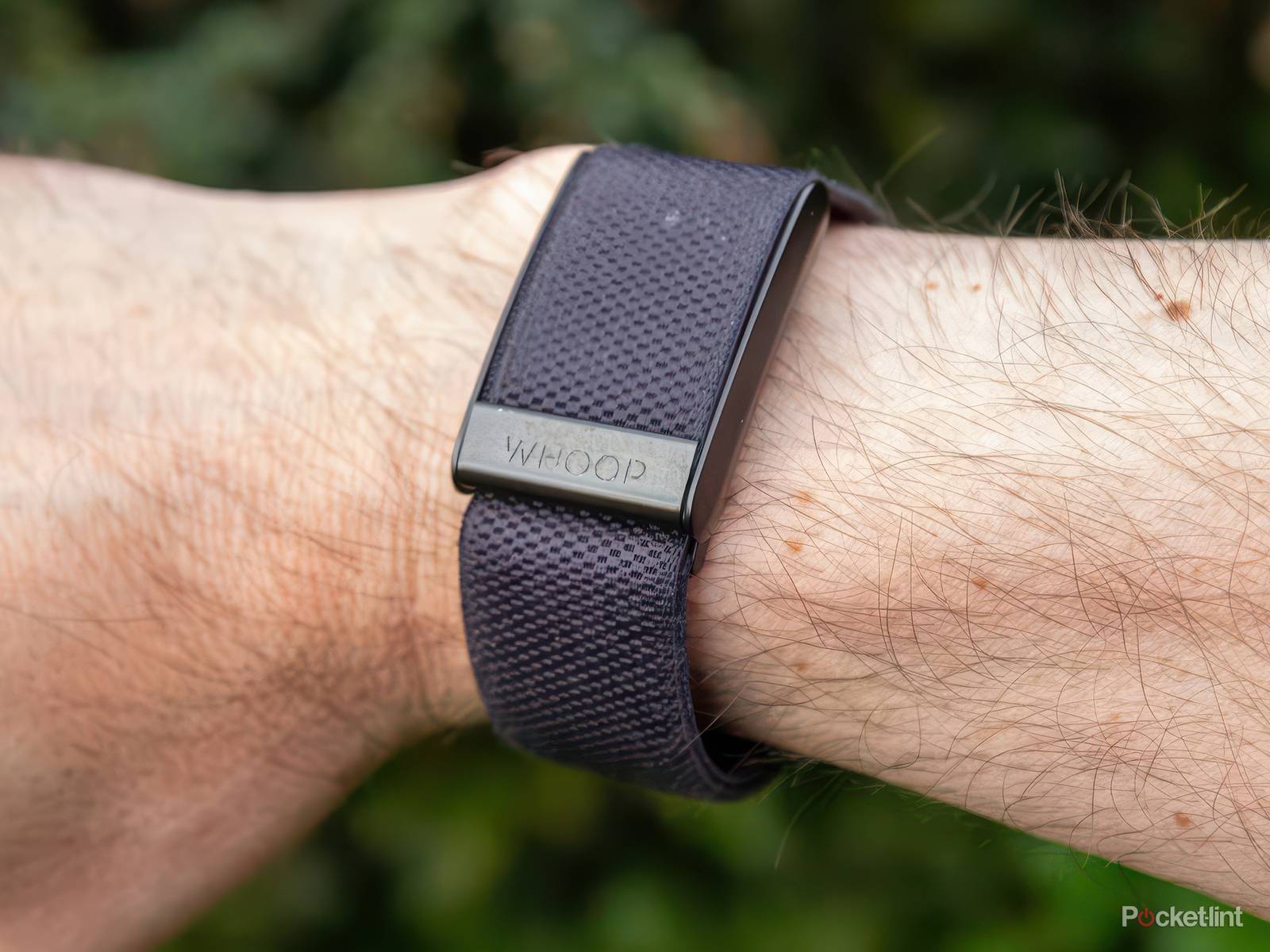 things to expect in Whoop