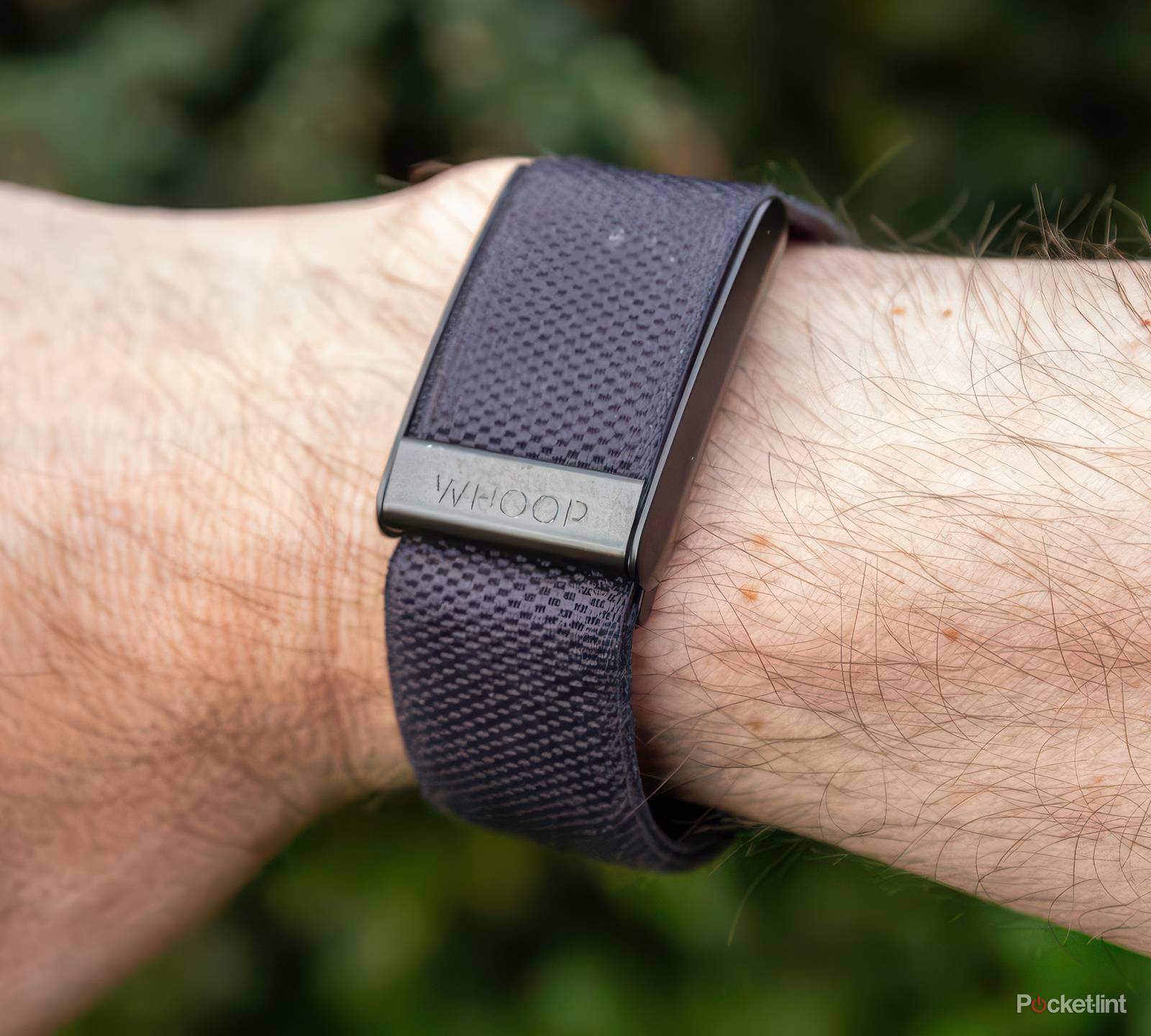 things to expect in Whoop - Main Image