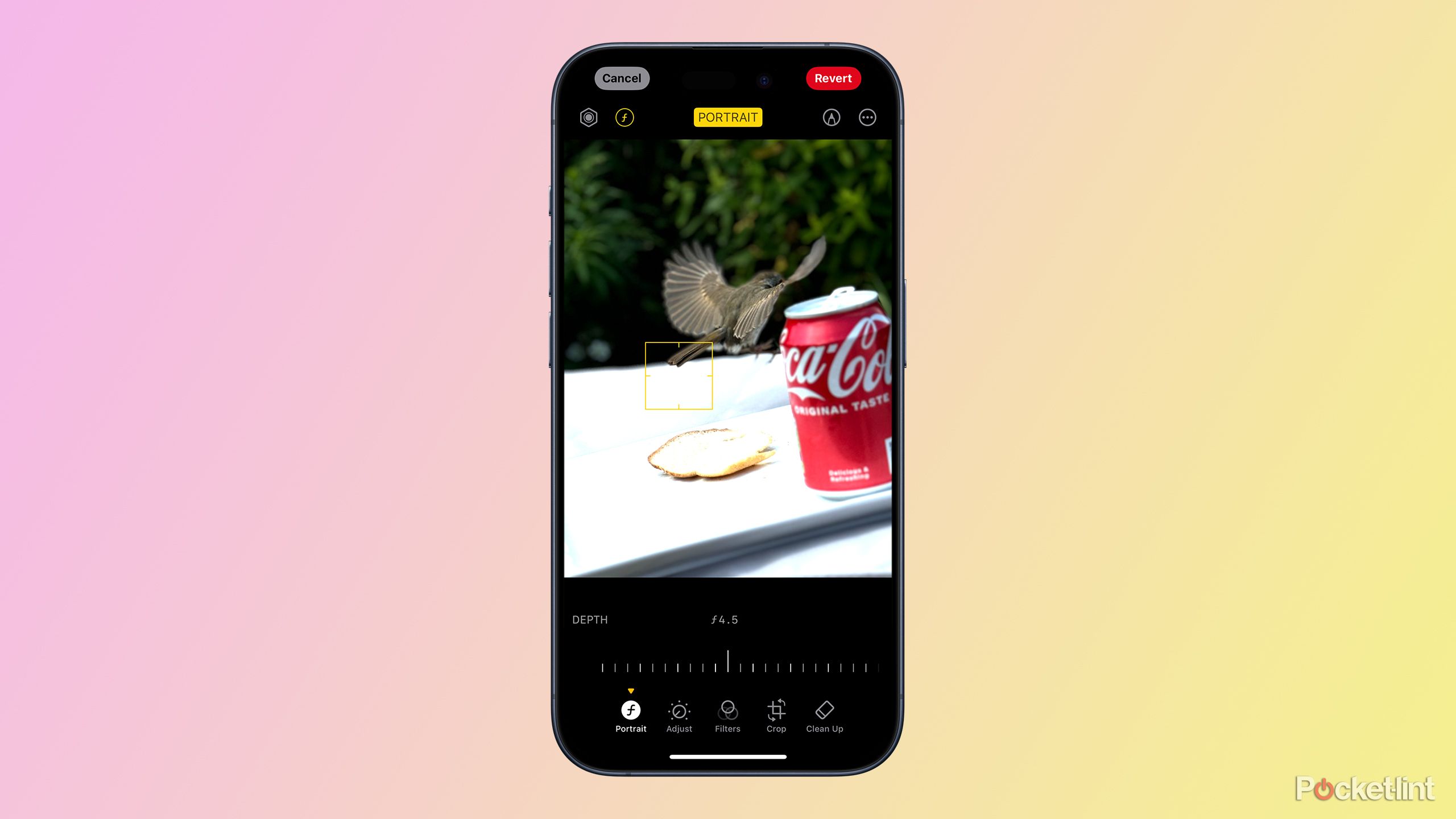 How to use the Clean Up image editing tool in iOS 18
