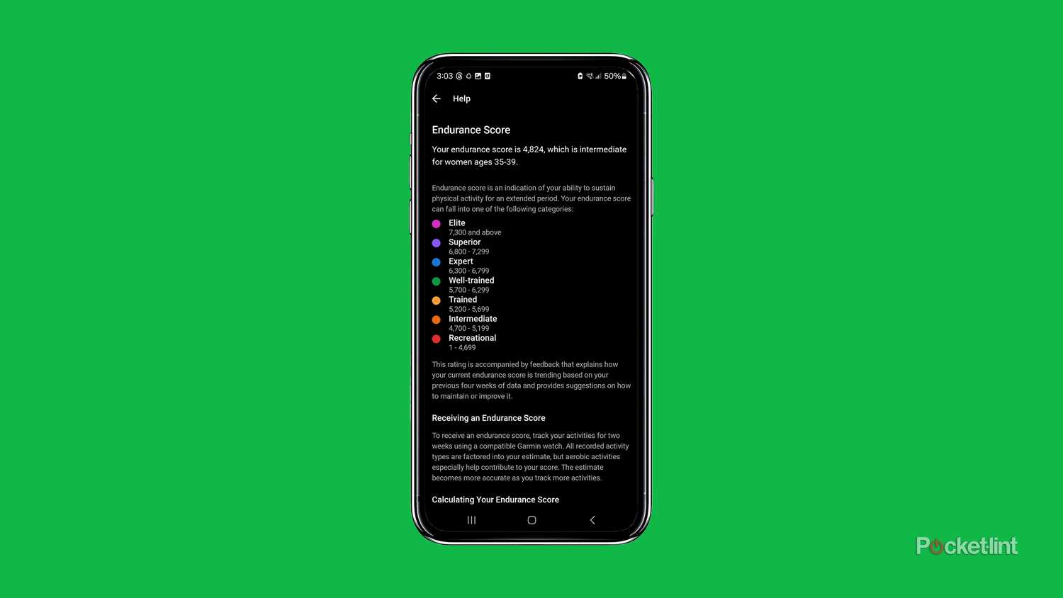A phone with the Garmin Endurance Score ratings is placed against a green background. 