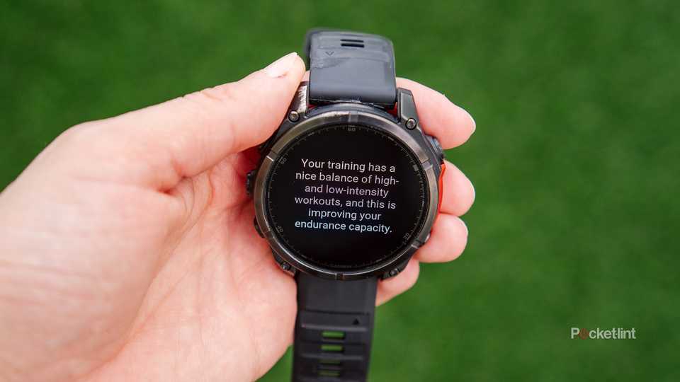 A hand holds a Garmin Fenix 8 with the Endurance Score summary on the display. 