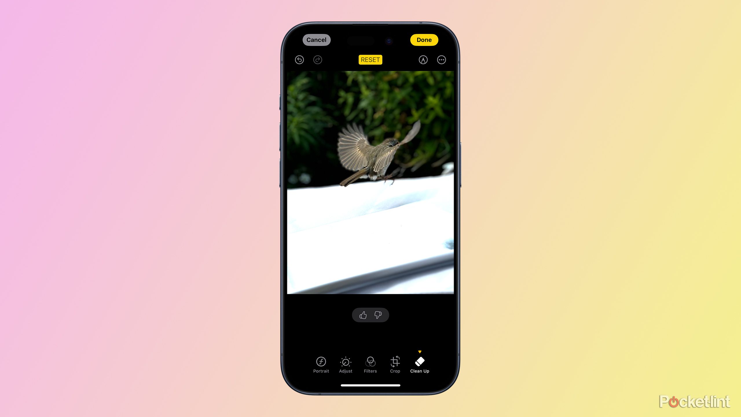 How to use the Clean Up image editing tool in iOS 18