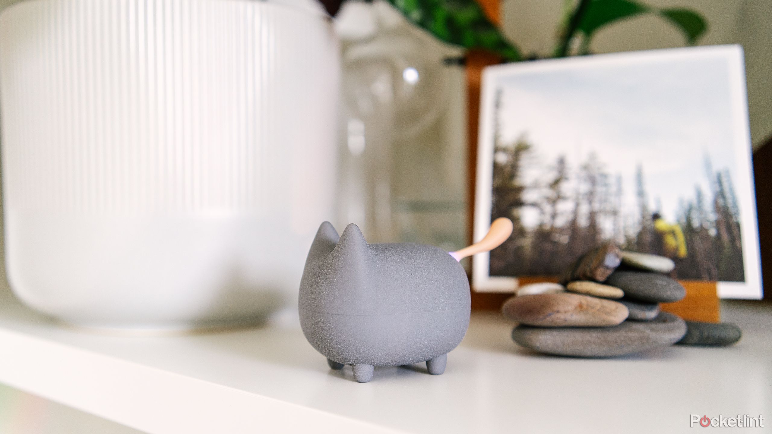 The Gingo Kitty Speaker sits on a shelf in front of potted plants and a printed photo. 