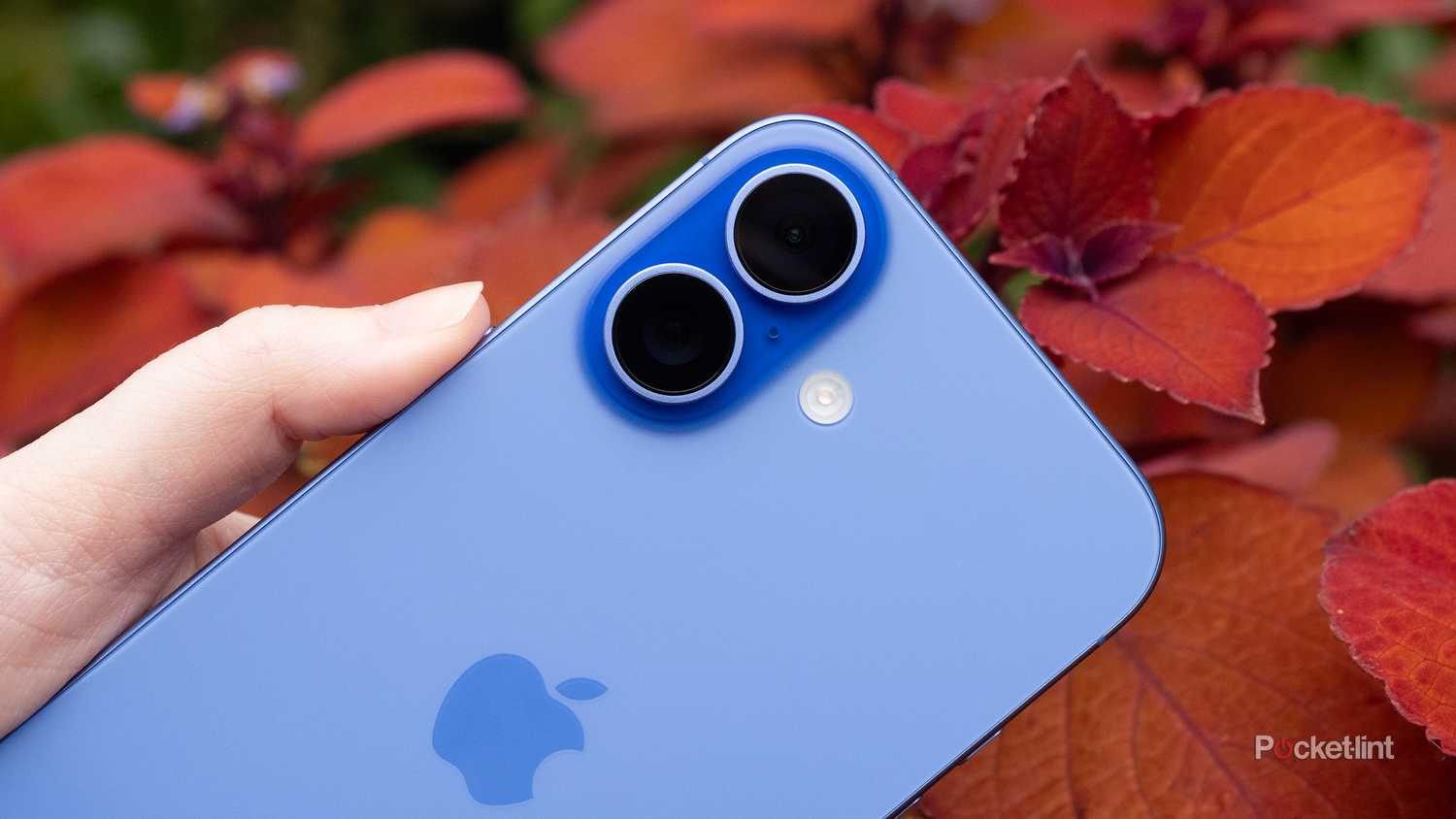 Ios 48 Mp Camera Meaning IPhone 16 Pro And Pro Max Review: All