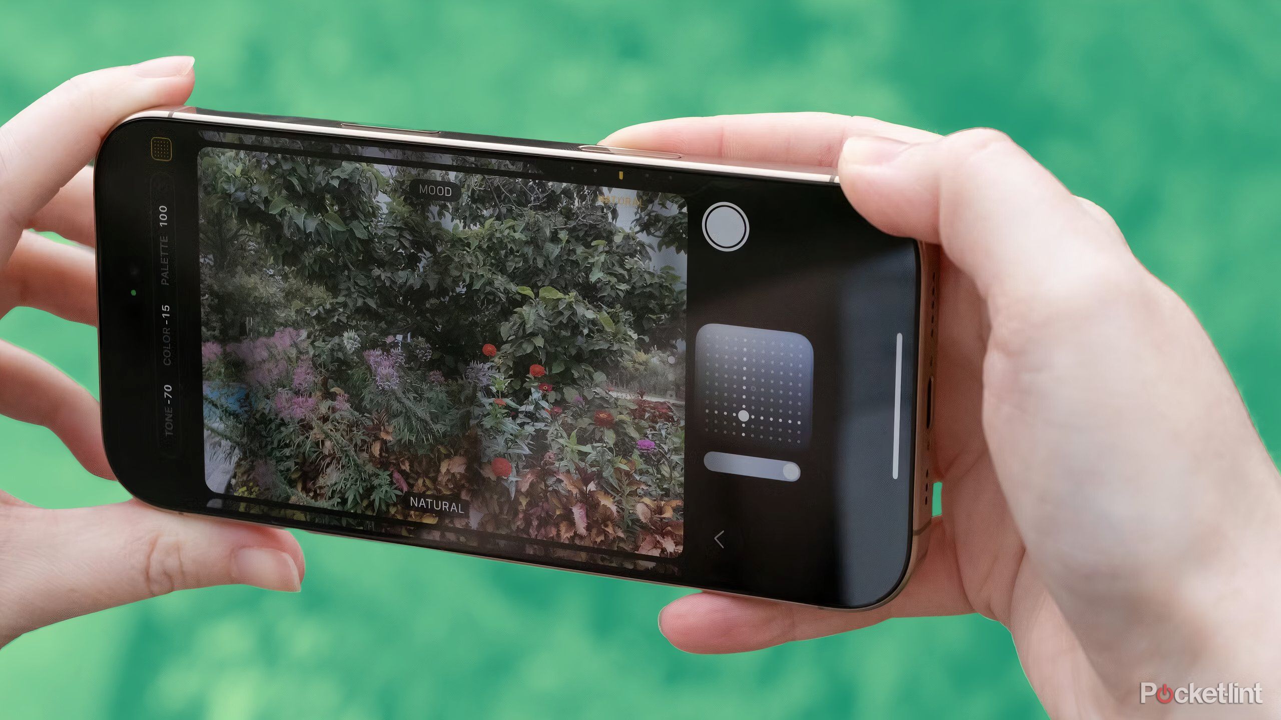 HEIC, HEVC, JPEG, and ProRAW: What do these iPhone file types
