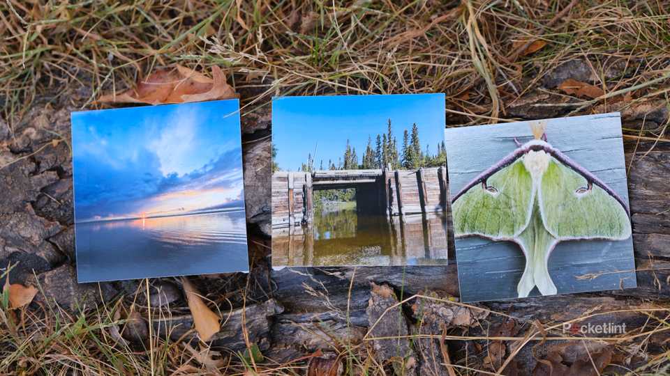 Images shot on an iPhone and printed by the Kodak Mini Shot 3 Retro