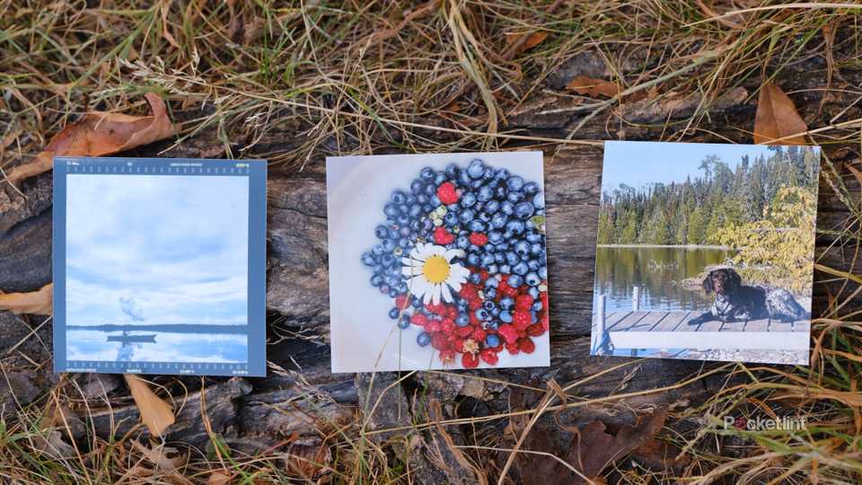 Images shot on an iPhone and printed by the Kodak Mini Shot 3 Retro