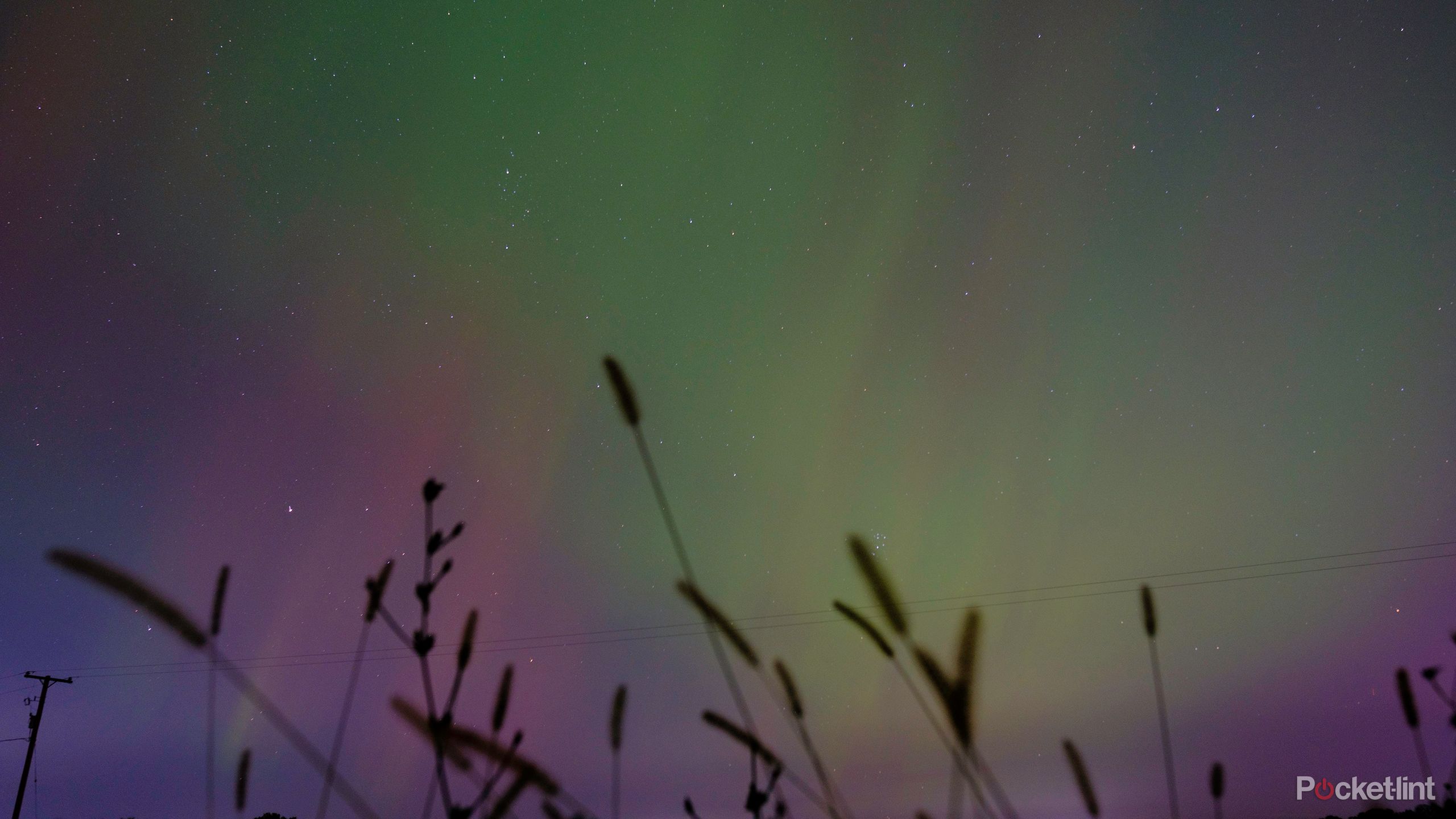 A before picture prior to using the Photoshop Distraction Removal Tool