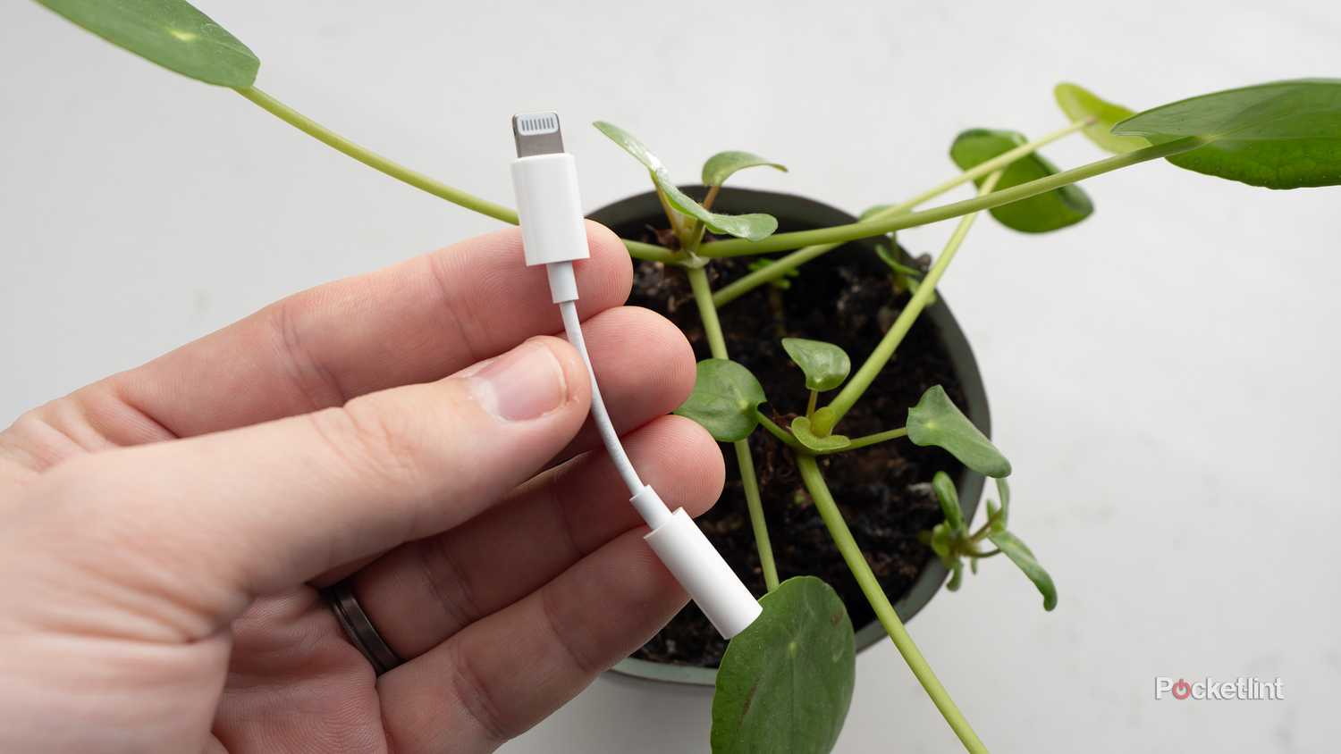 Apple's Lightning-to-3.5mm adapter