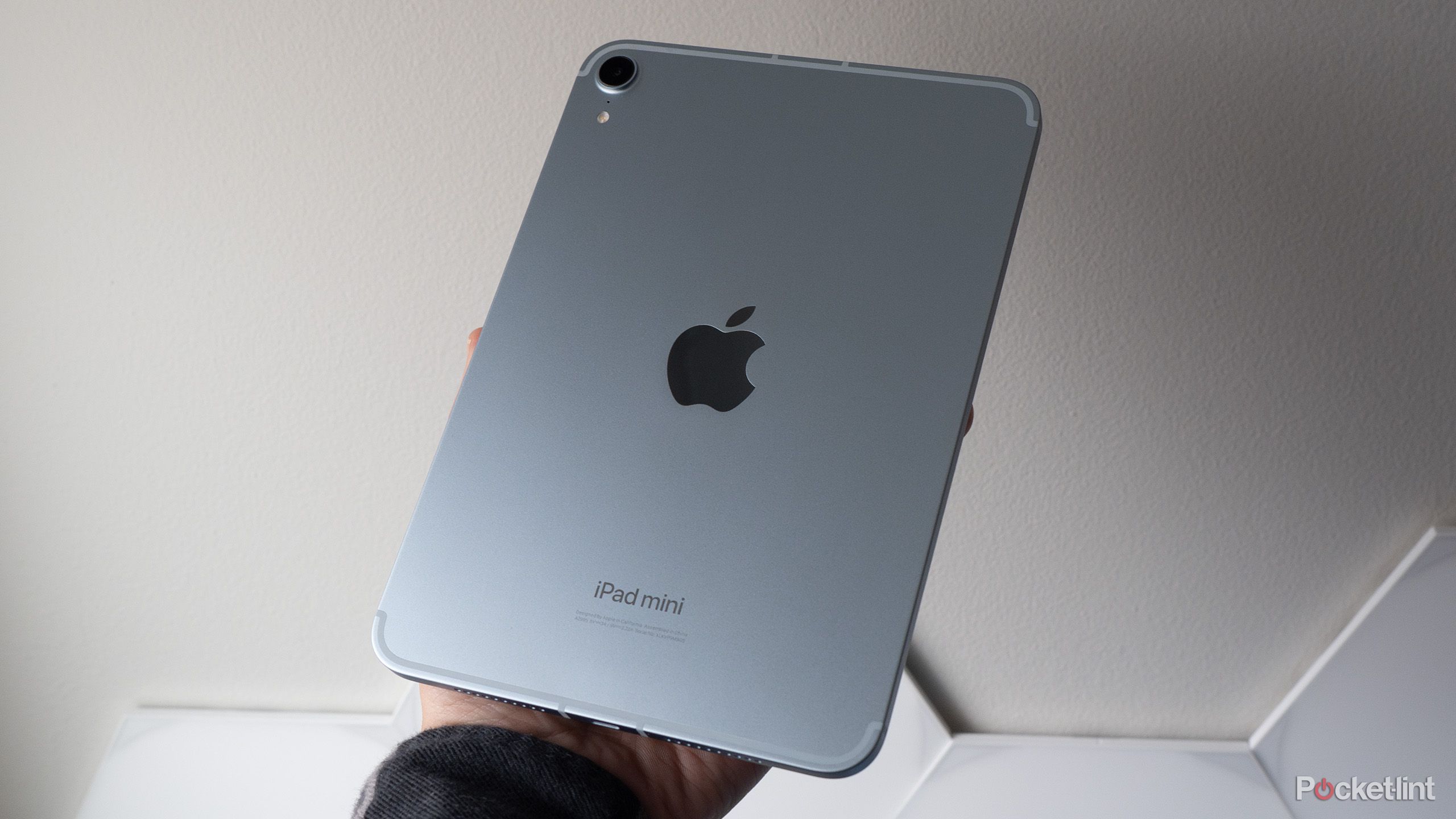 The back of the iPad mini (2021)