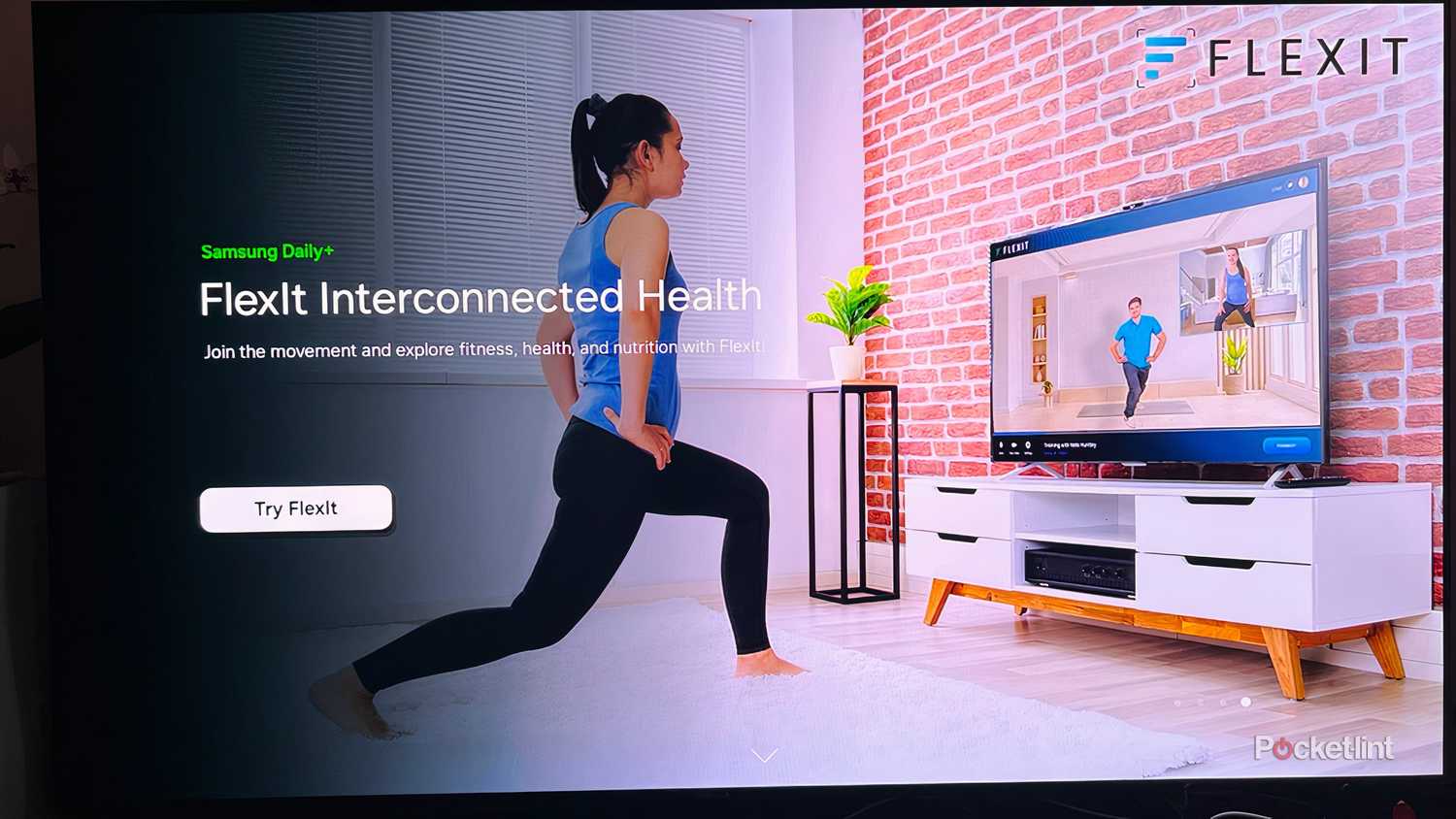 Samsung OLED TV Flex It