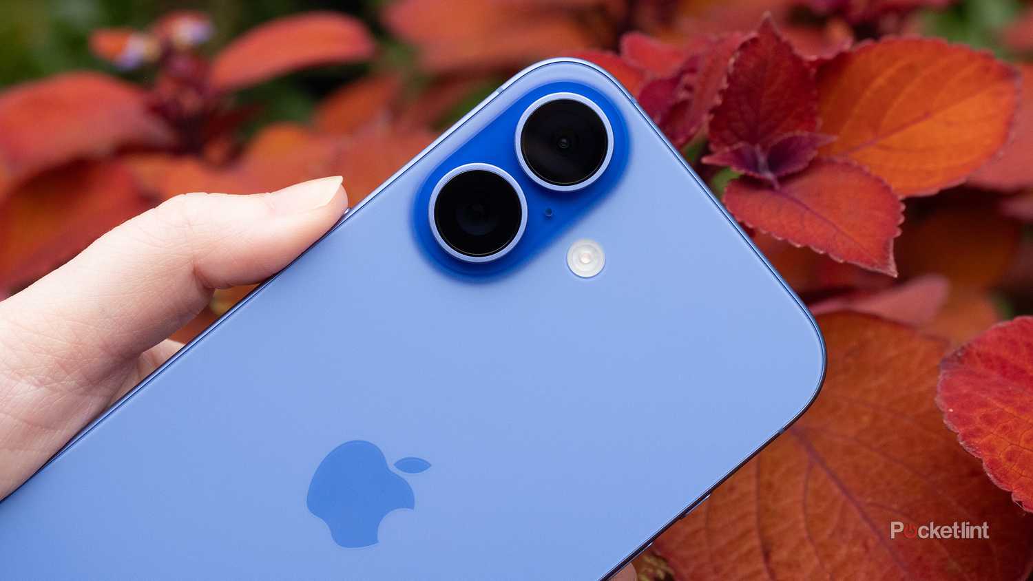 The back camera module of an iPhone 16.