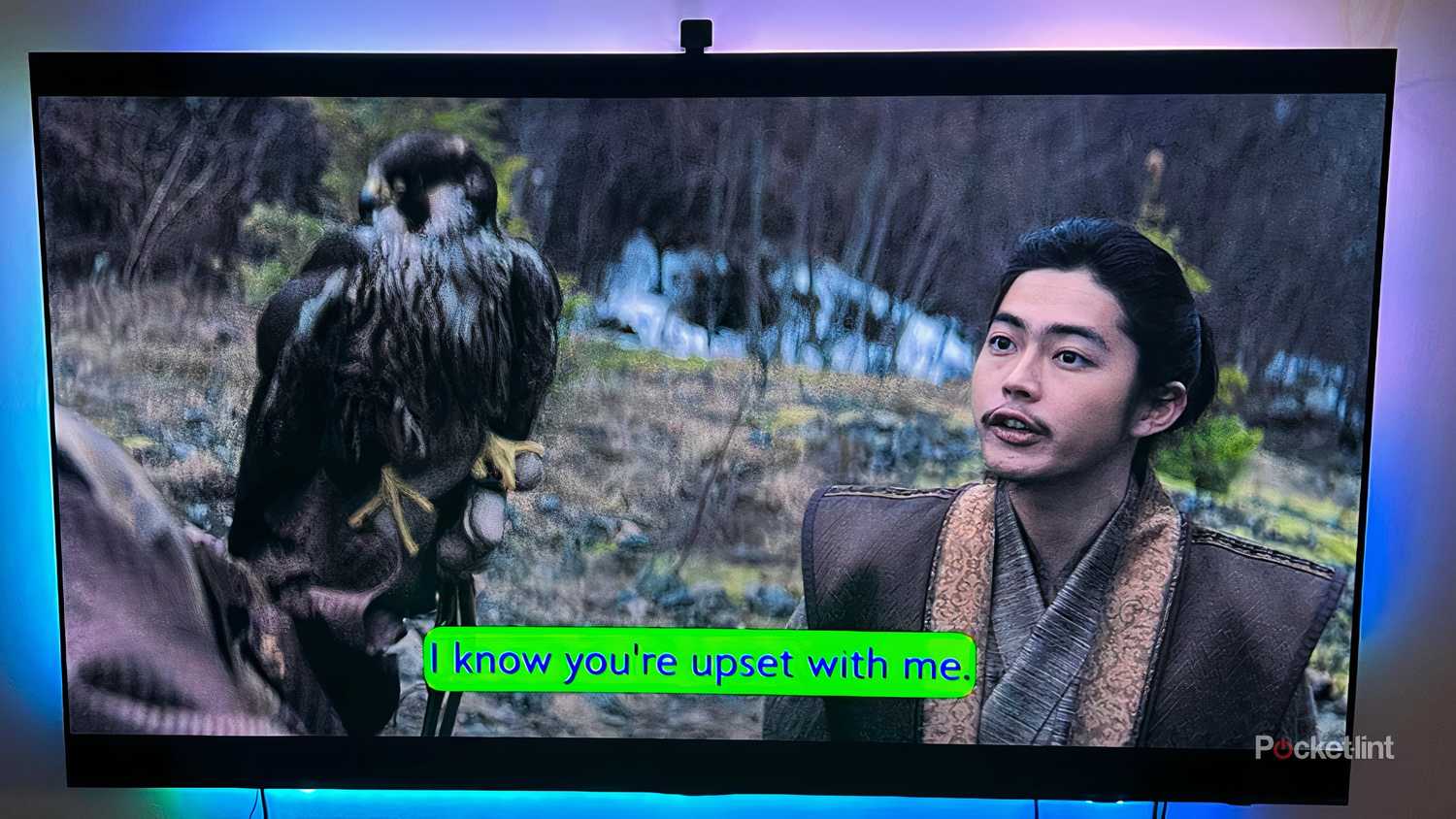Subtitle options on Disney+ show Shogun. 