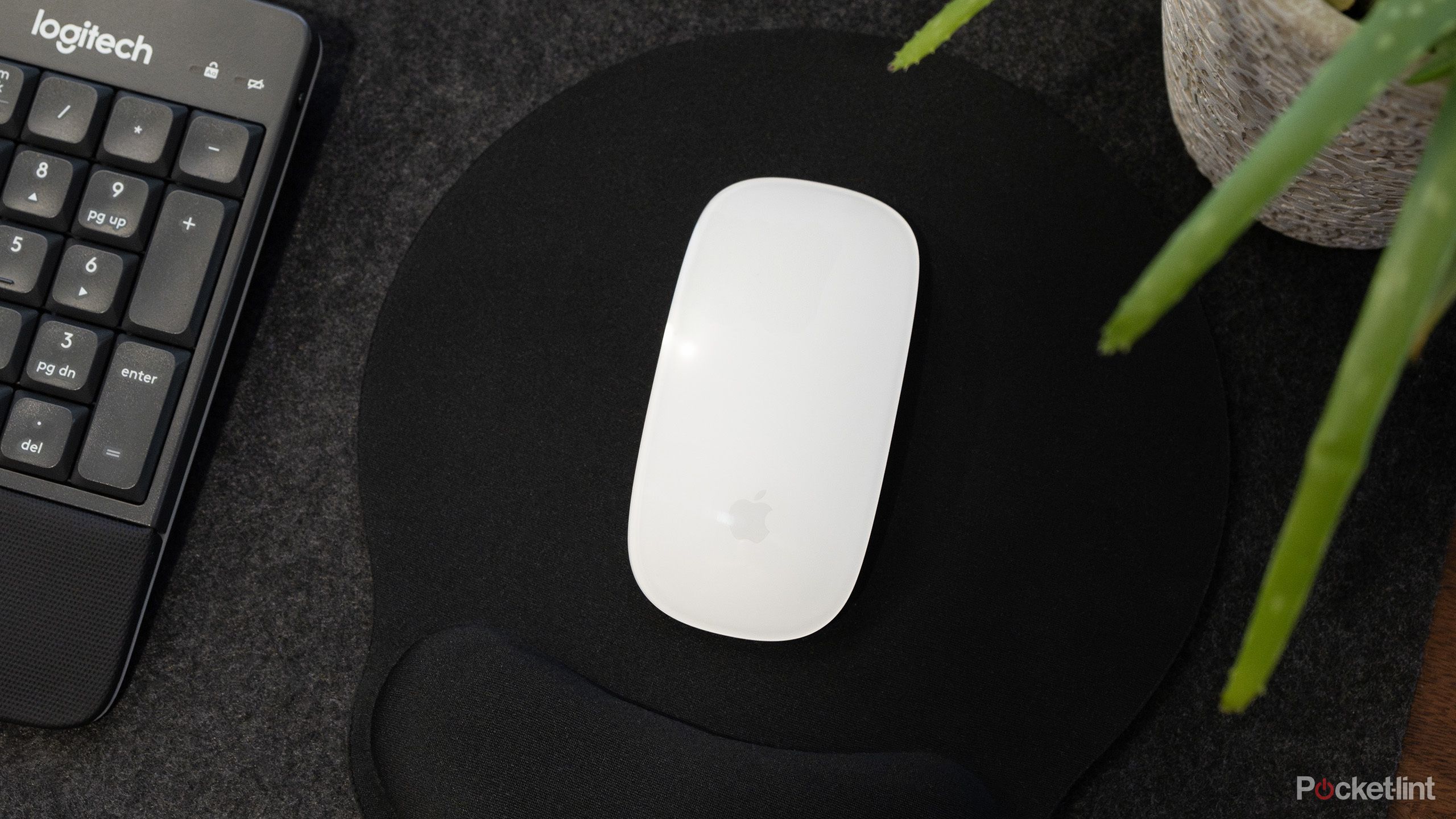 You might be able to talk to Apple's Magic Mouse soon
