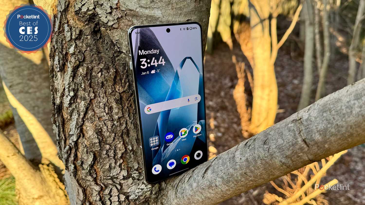 OnePlus 13 best of CES header