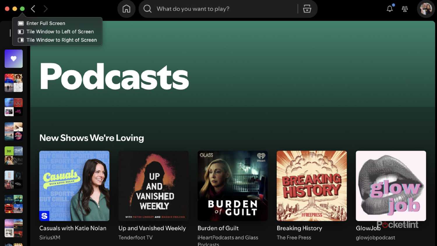 녹색 헤더가 있는 Spotify 팟캐스트 페이지. 