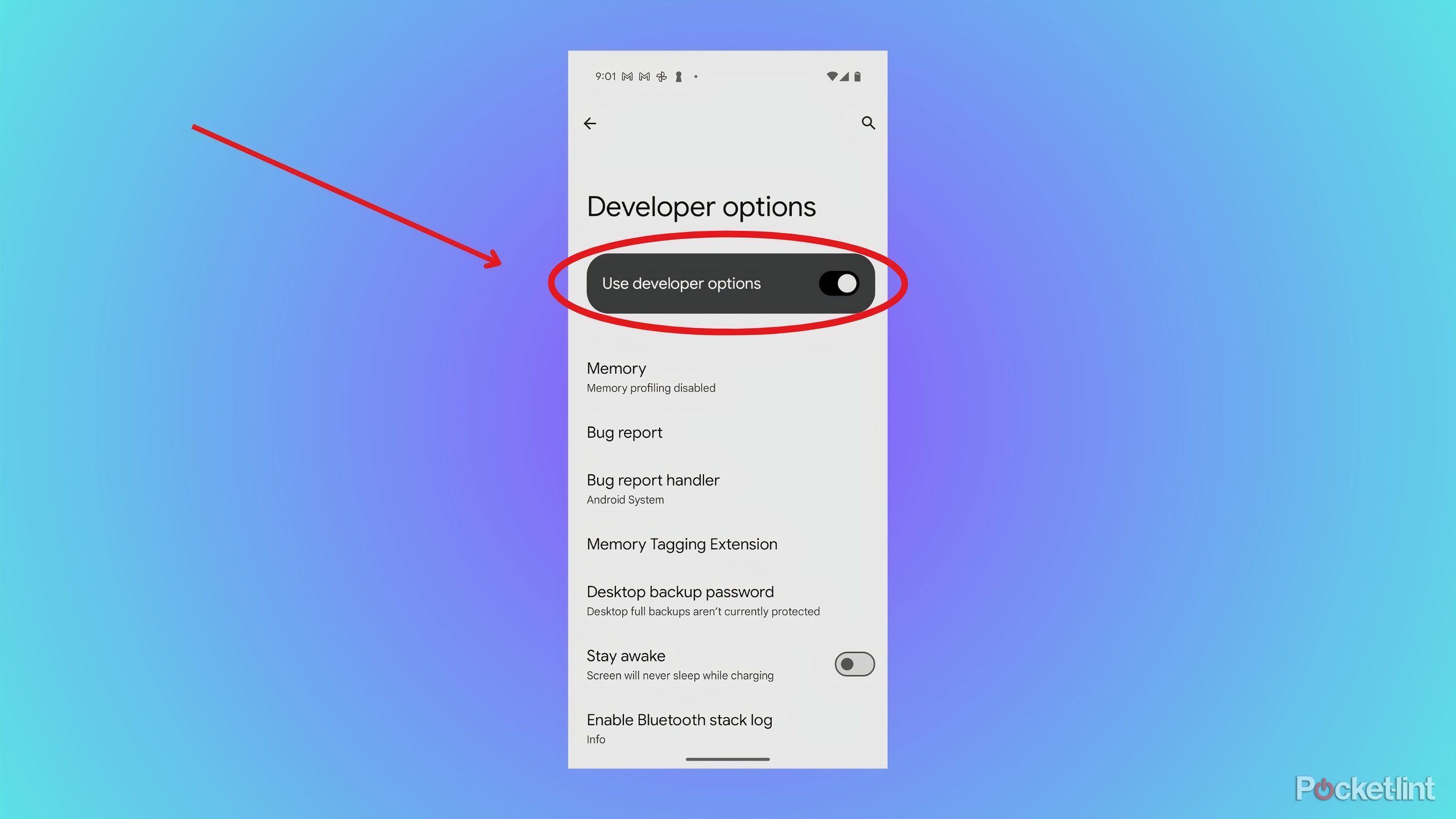 The Pixel 9's hidden desktop mode is a glimpse of a future I want