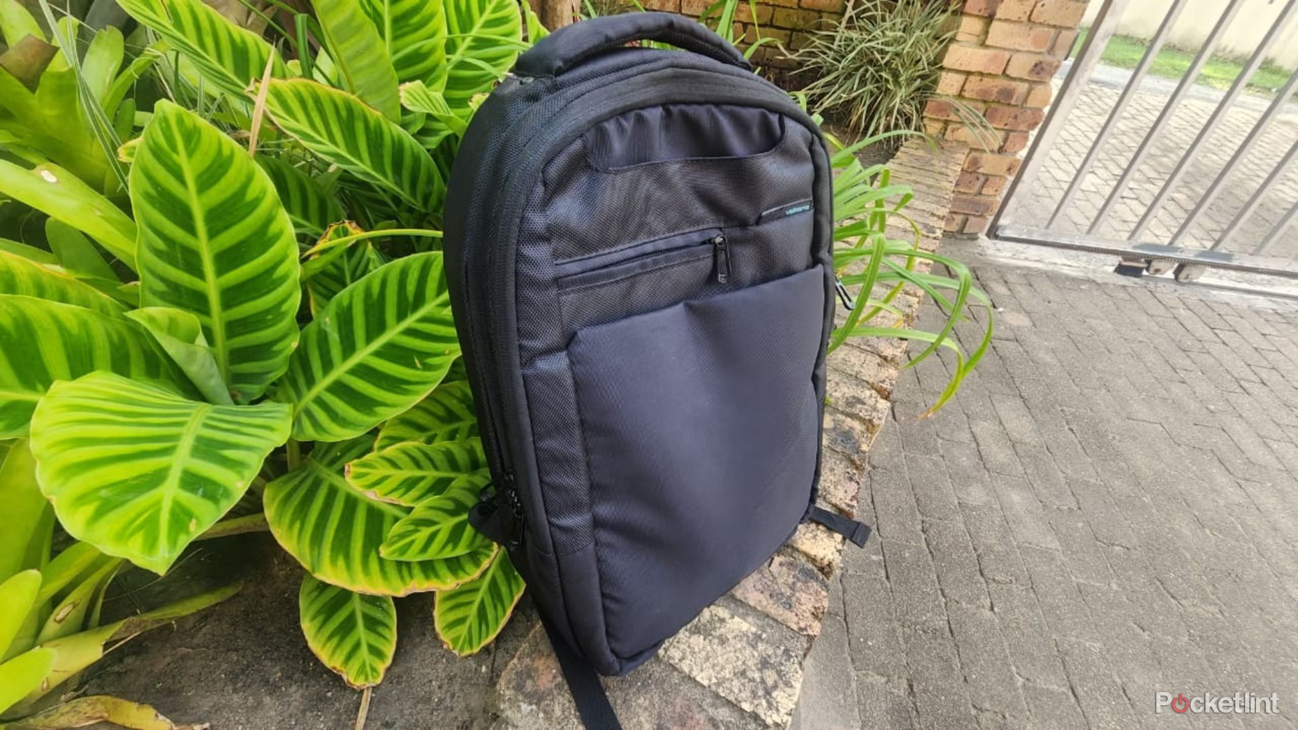 A laptop bag in front of plants. 