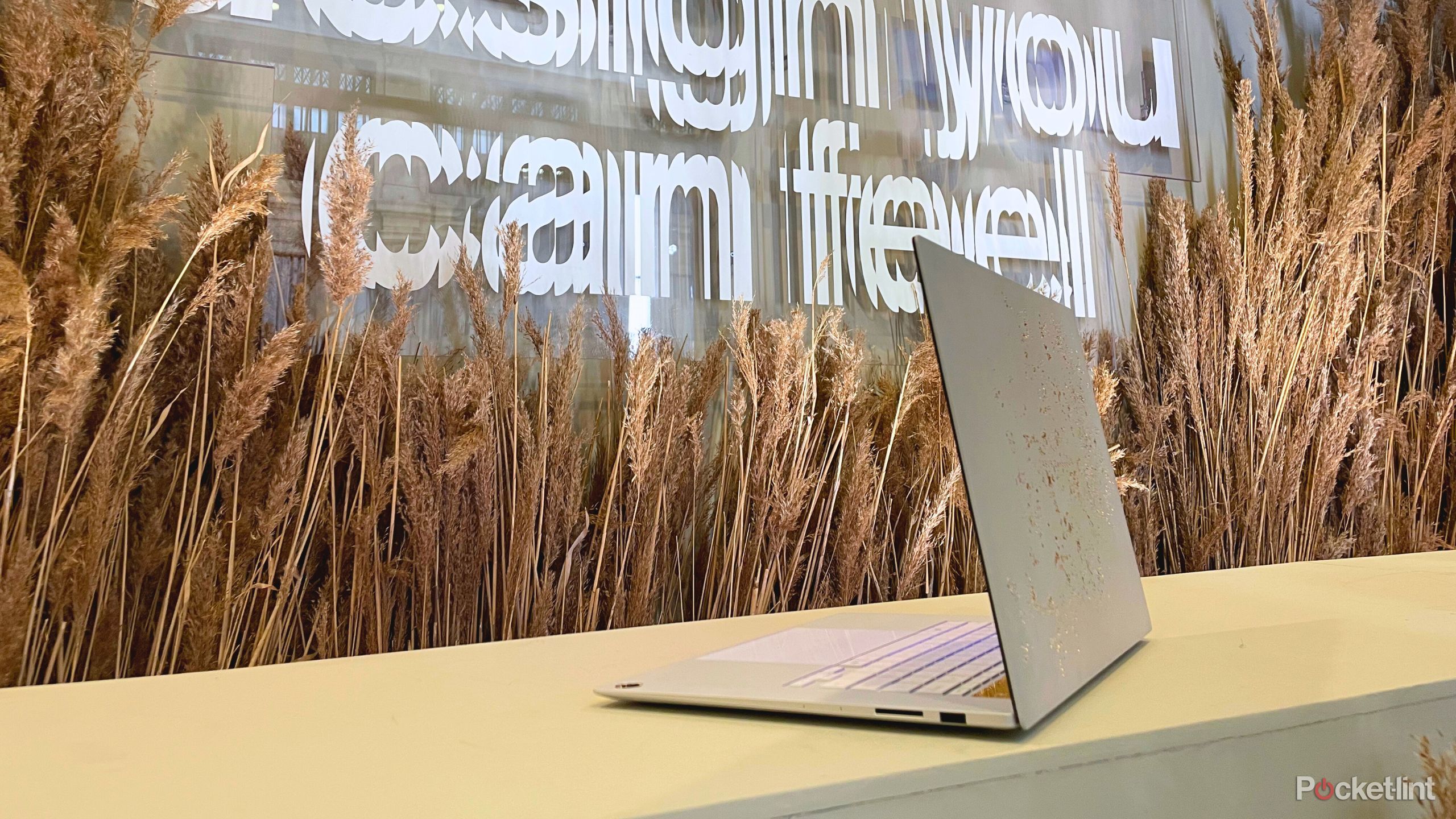 Asus White Zenbook limited edition.