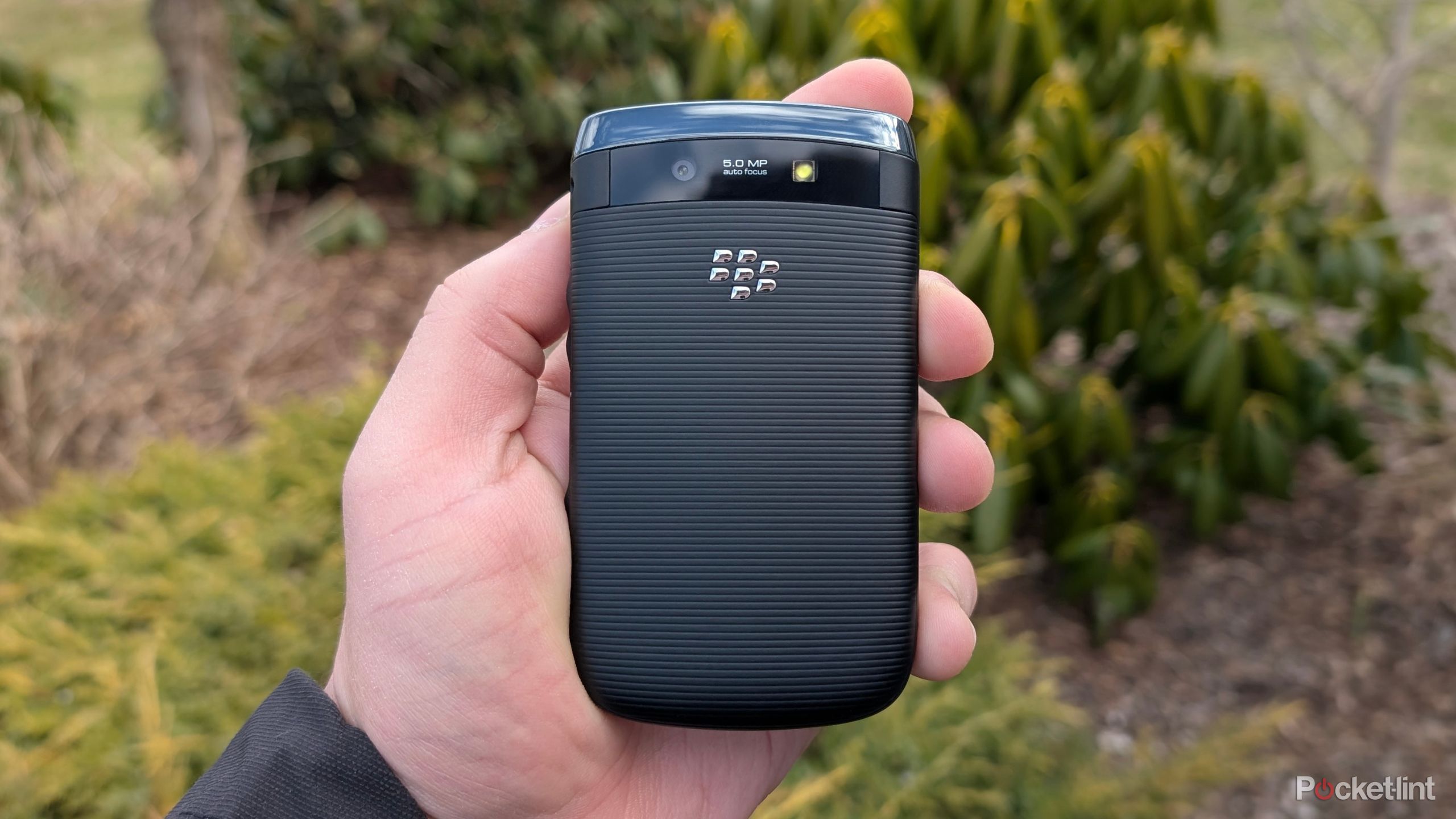 Blackberry Respect for 'D' ダンブル系、7台限定激レア NEW DR