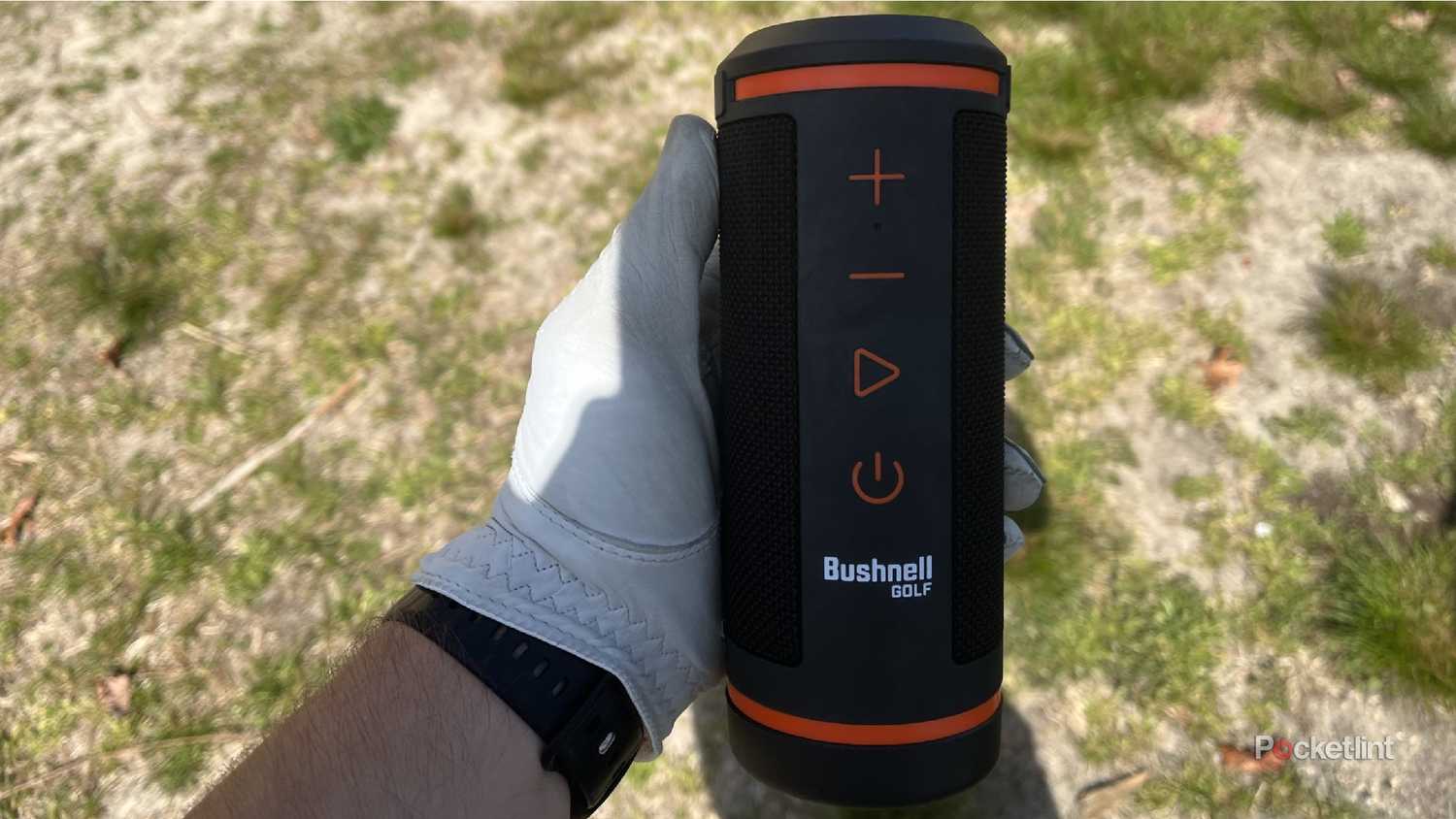 bushnell wingman in the shadows