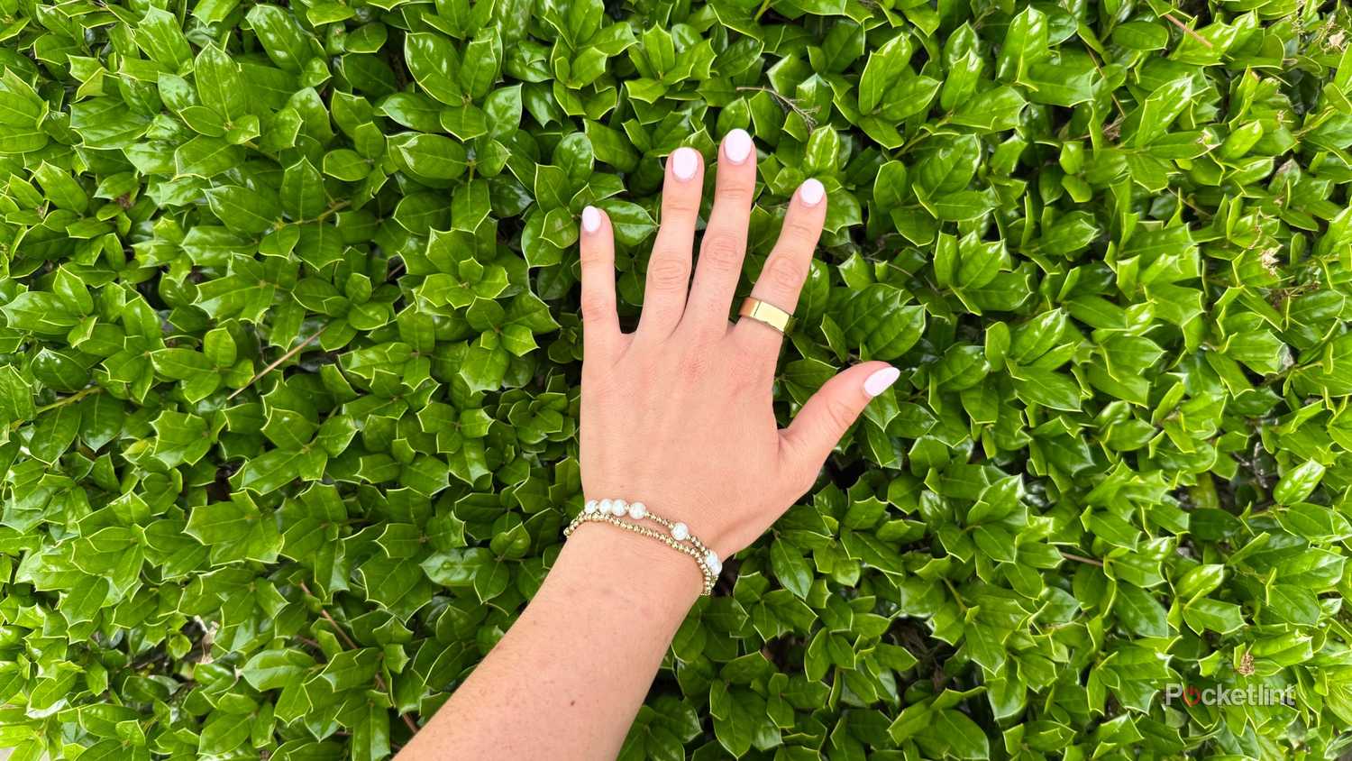 A person with an Oura Ring on over a hedge. 