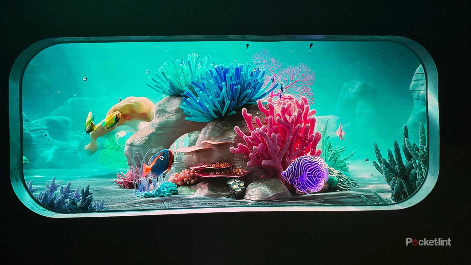 Ambient fishtank display on Samsung Premiere 5 Projector. 