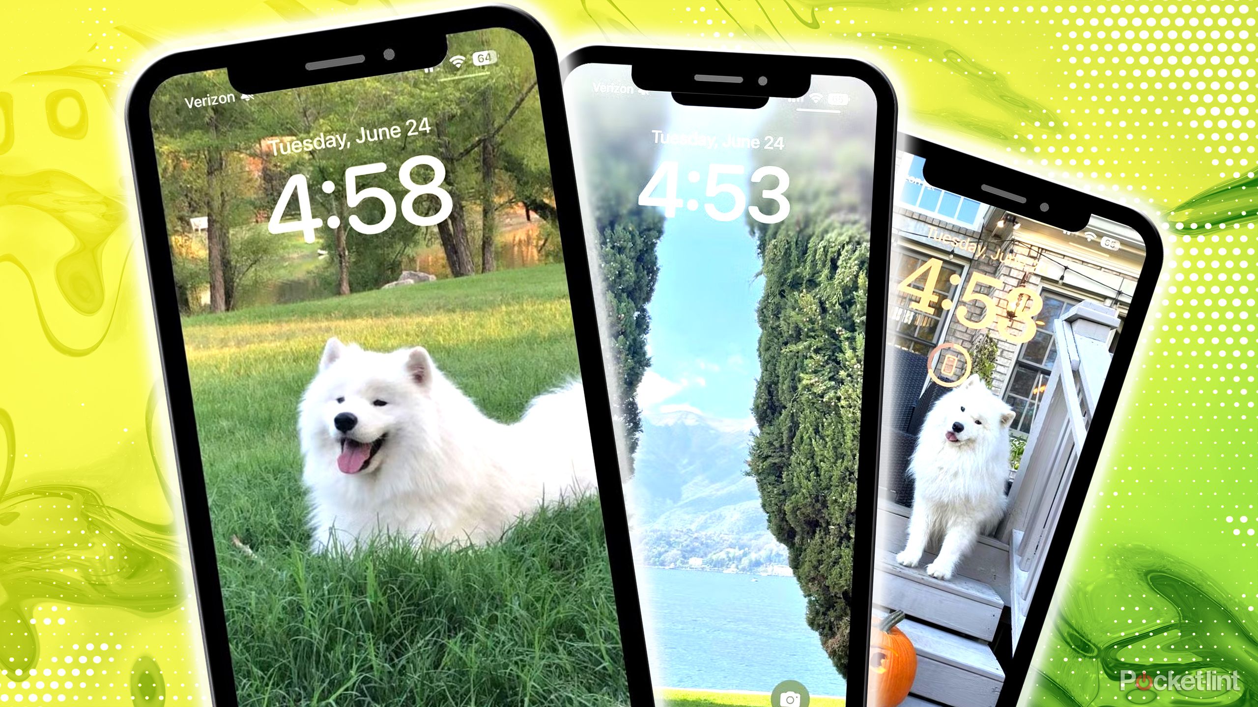 Kelsey's three lockscreens, two of her dog and one of Lake Como. 