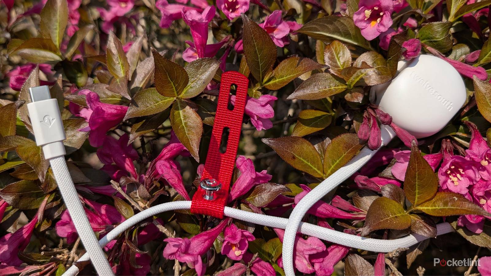 If you only buy one USB-C charger in 2025, make it this one