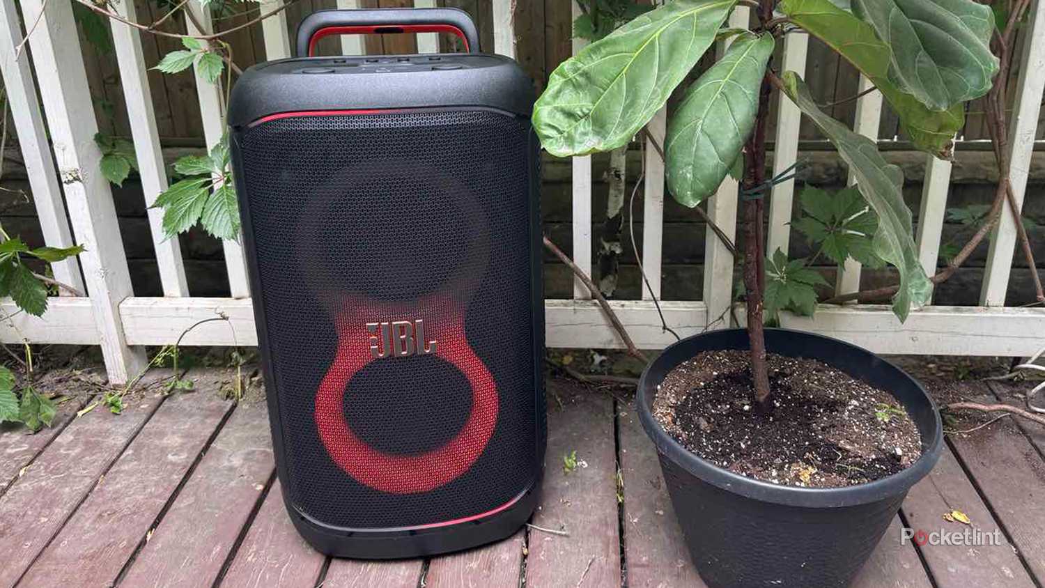 JBL Party Box 520 with lights next to plant outside