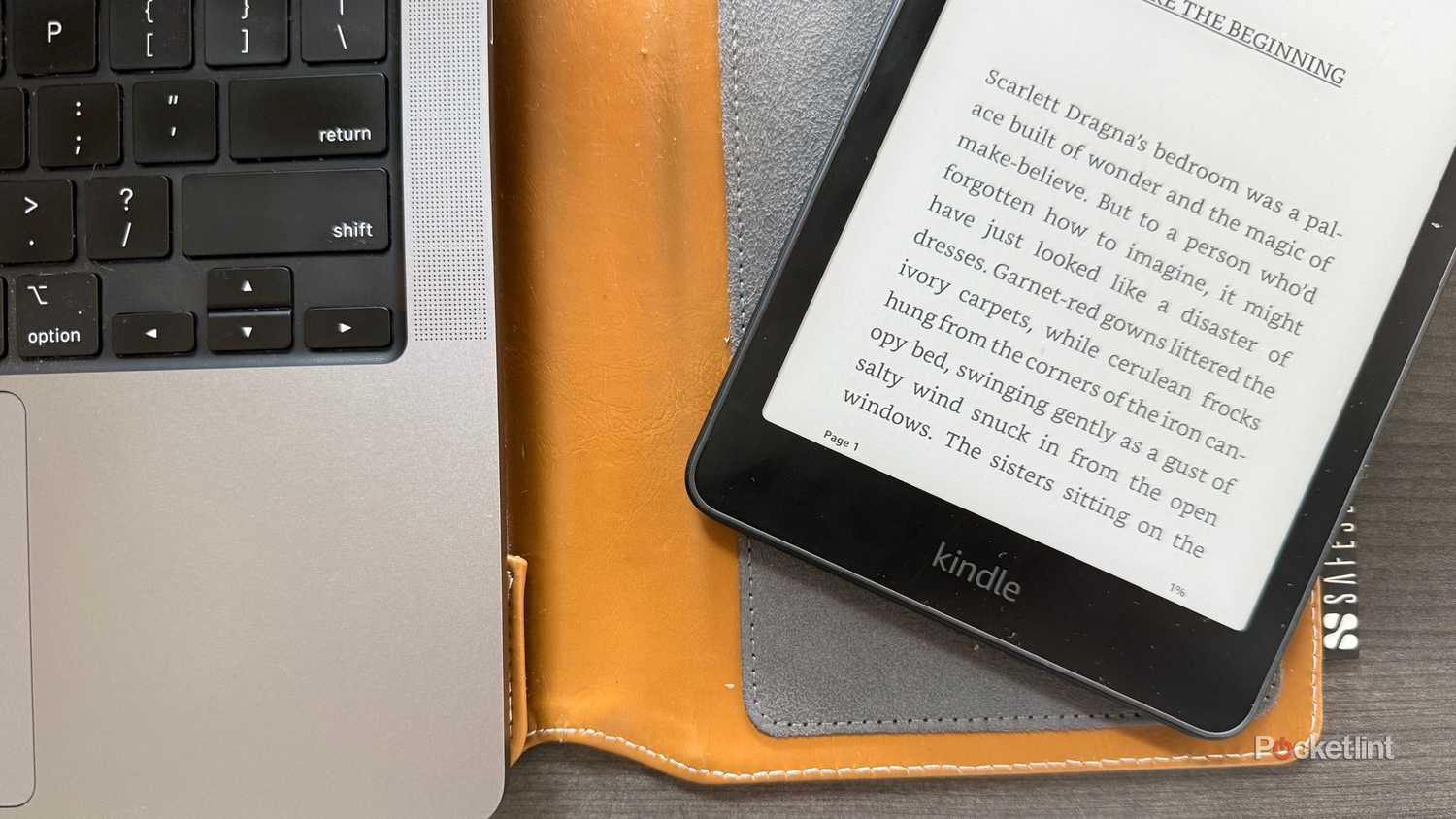 Changing page number Kindle.