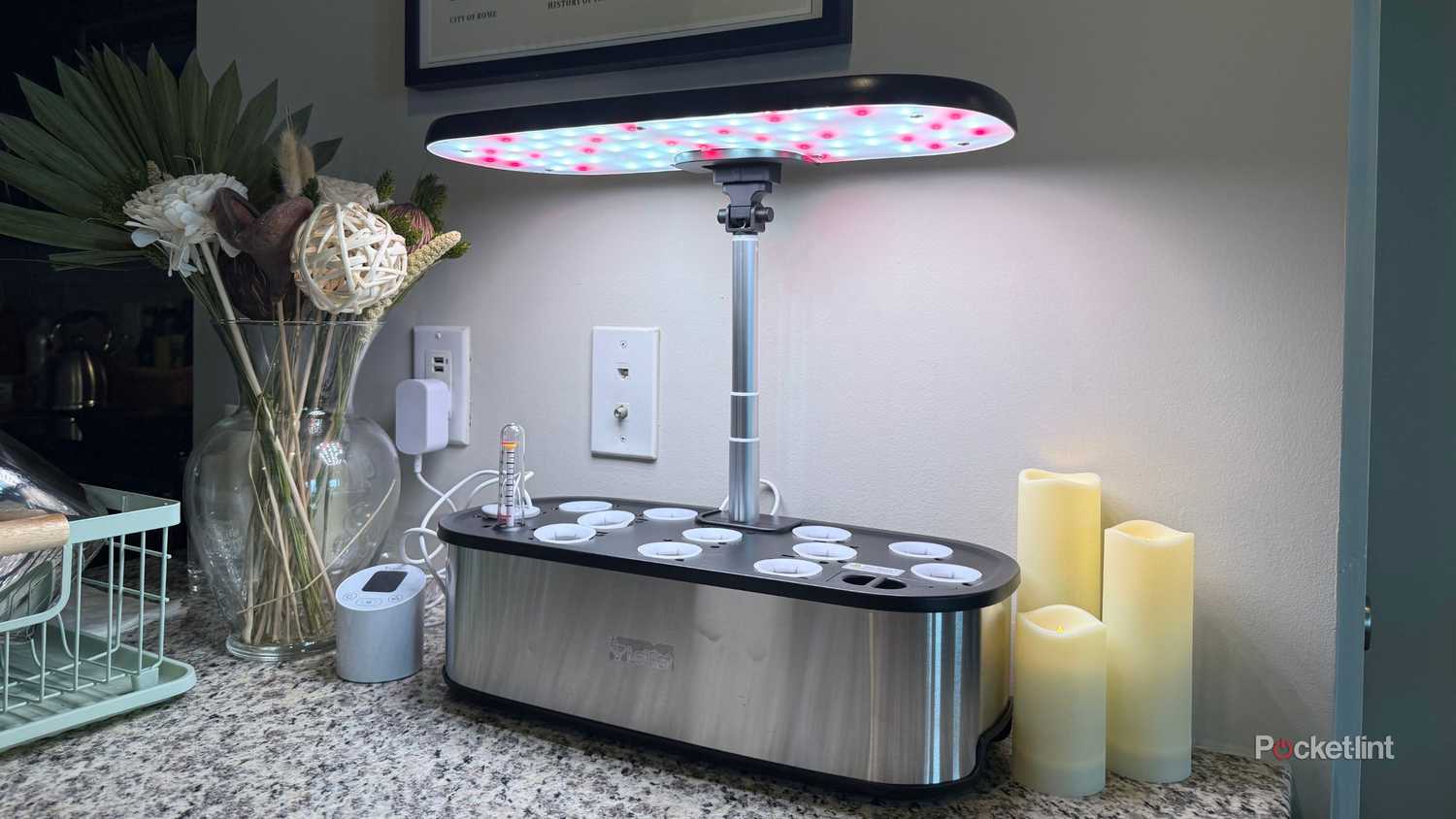 A hydroponic garden with a light panel.