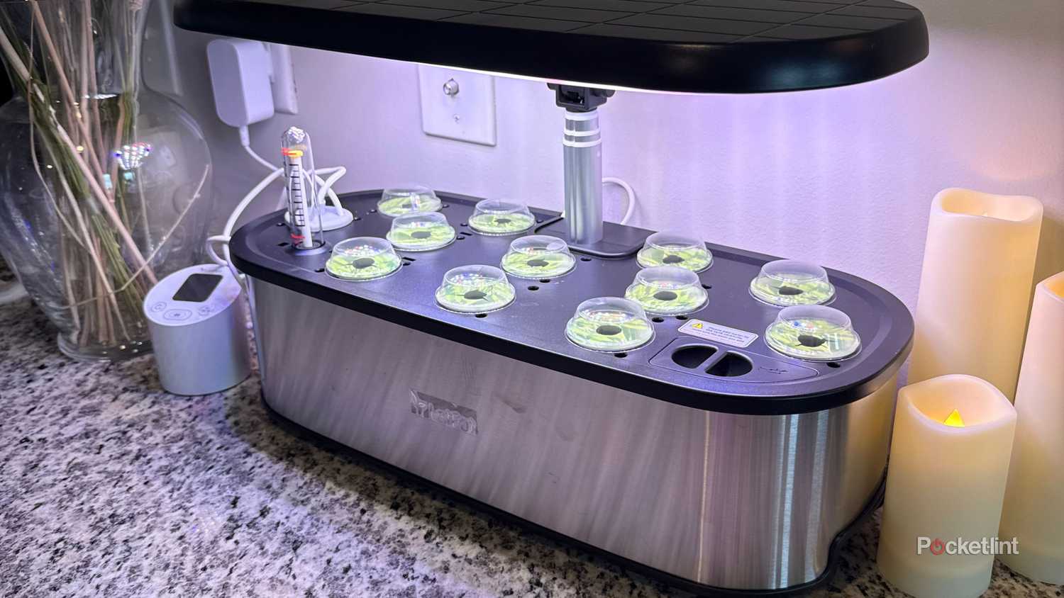 The pods in a hydroponic garden. 