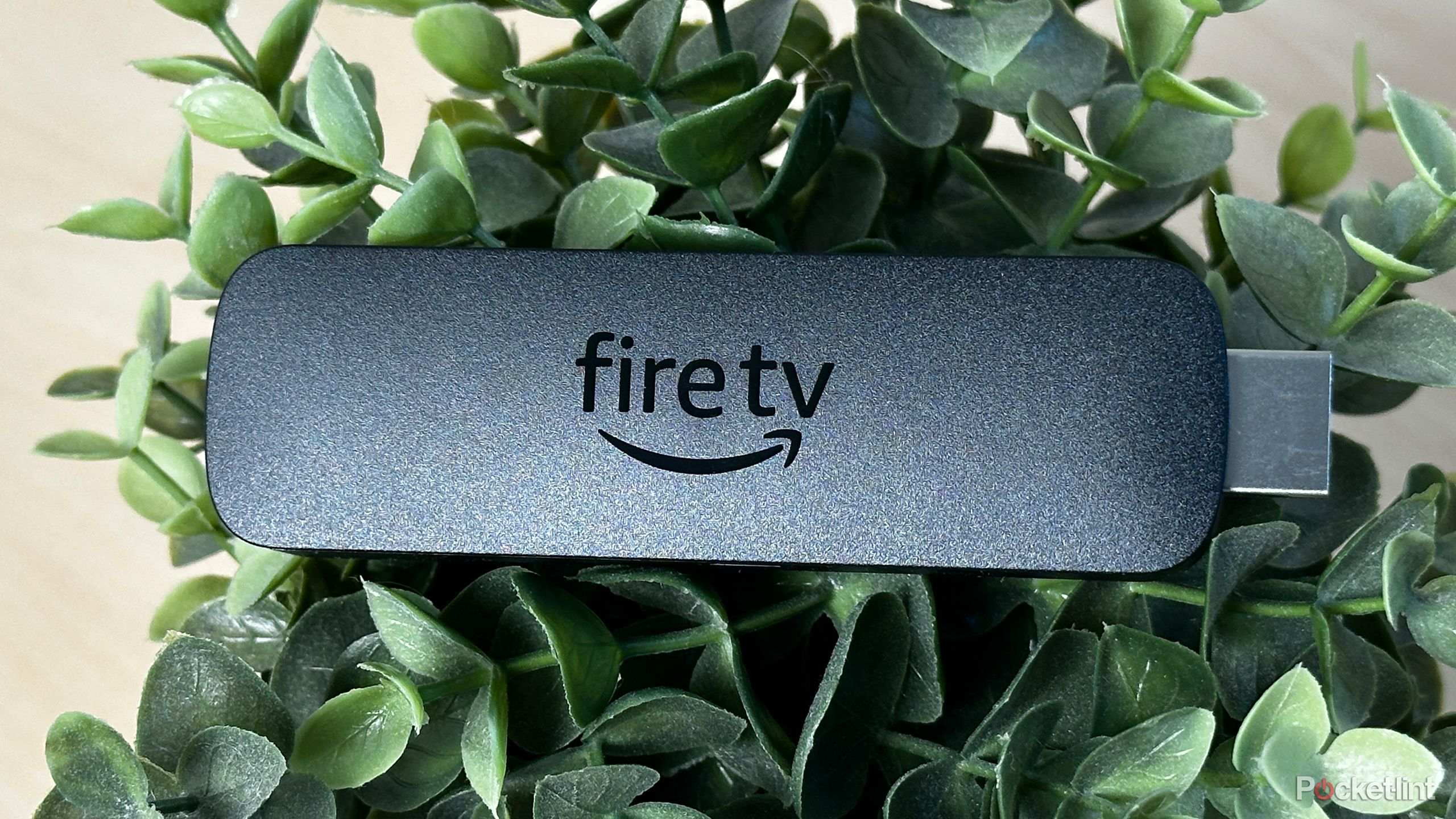 How to use a Fire TV Stick without the internet