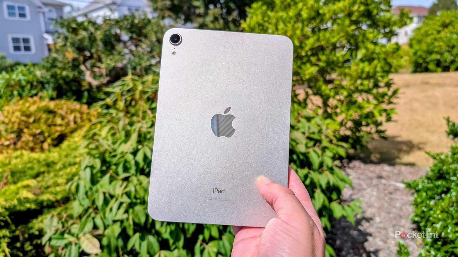 iPad mini (2021) in hand by bushes. 