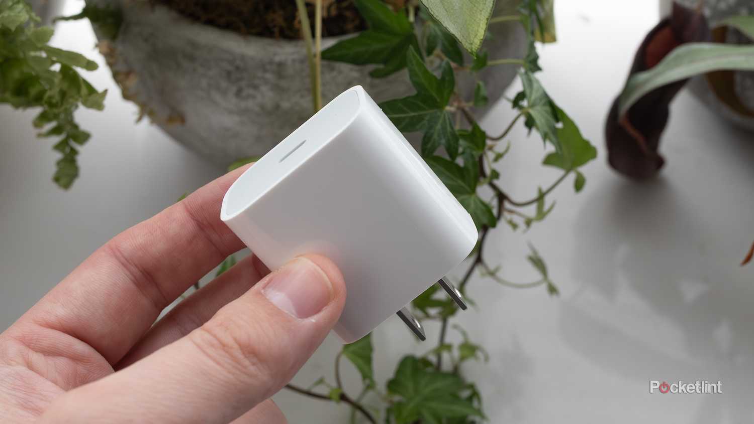 iPhone charging brick. 