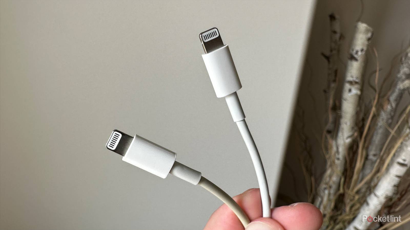 Apple Lightning cables.