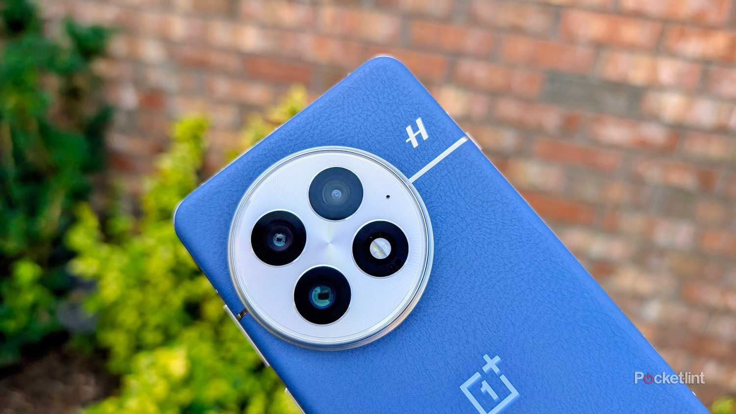 OnePlus 13