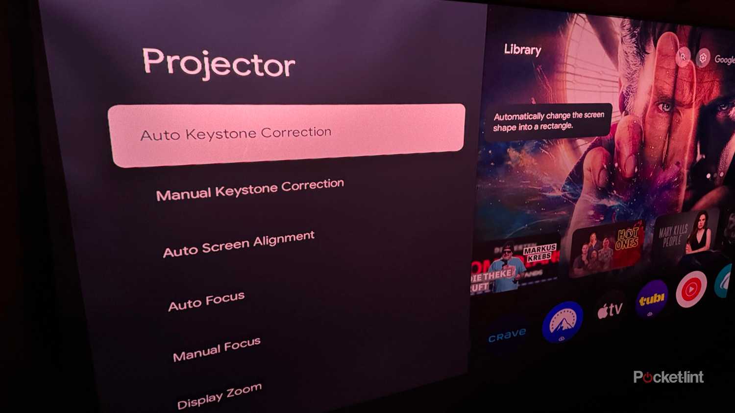 Valerion Fresnel Projector Screen screen options.