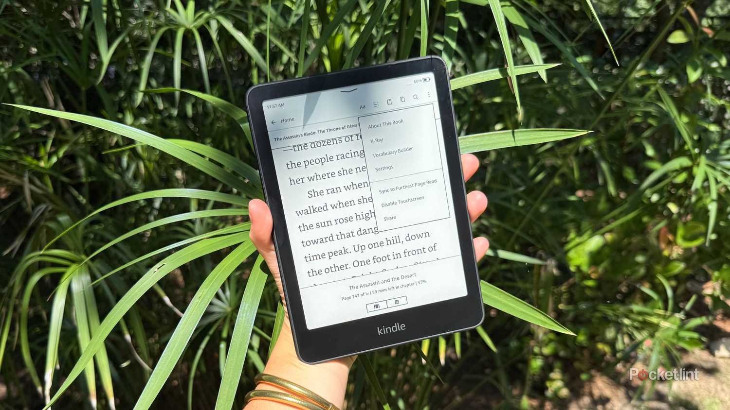 Using X-Ray on the Kindle Paperwhite. 