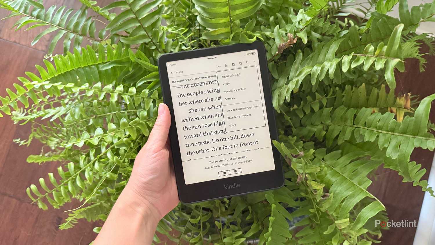 A Kindle Paperwhite in a fern. 
