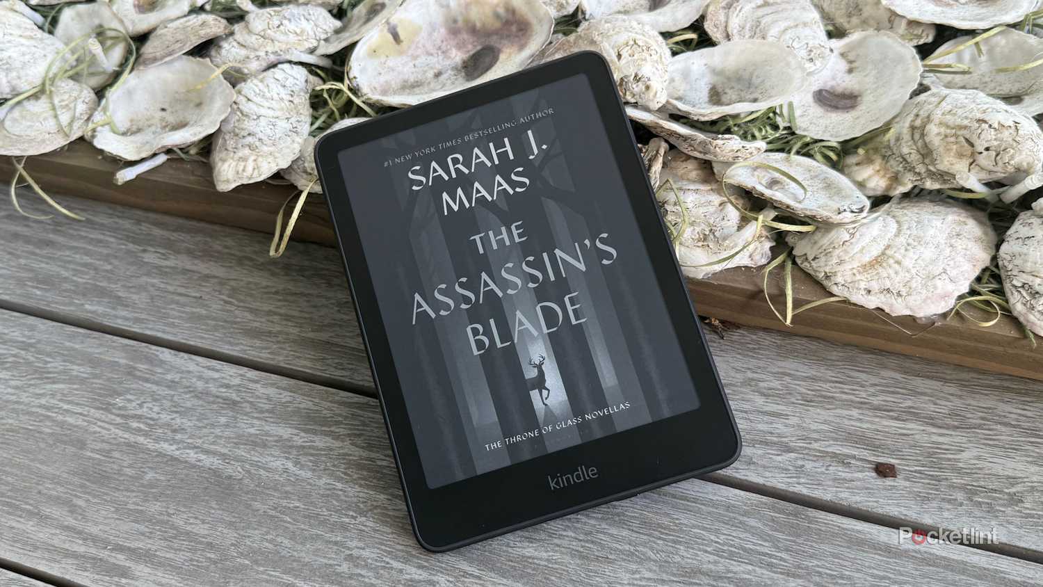 Assassin's Blade on a Kindle.