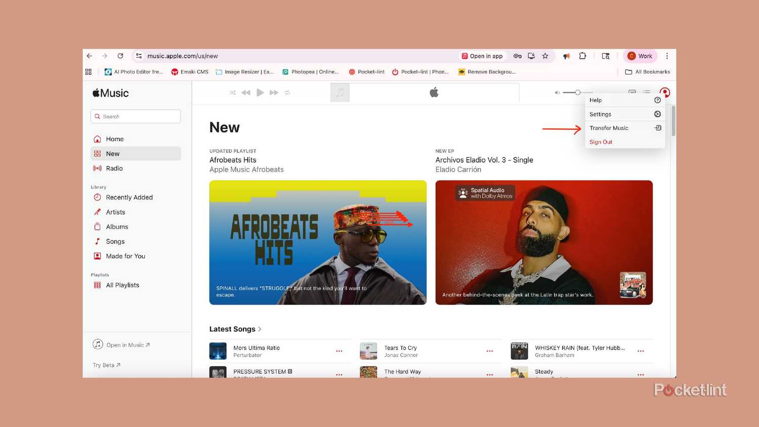 Apple Music homepage with arrow pointing to Transfer Music.