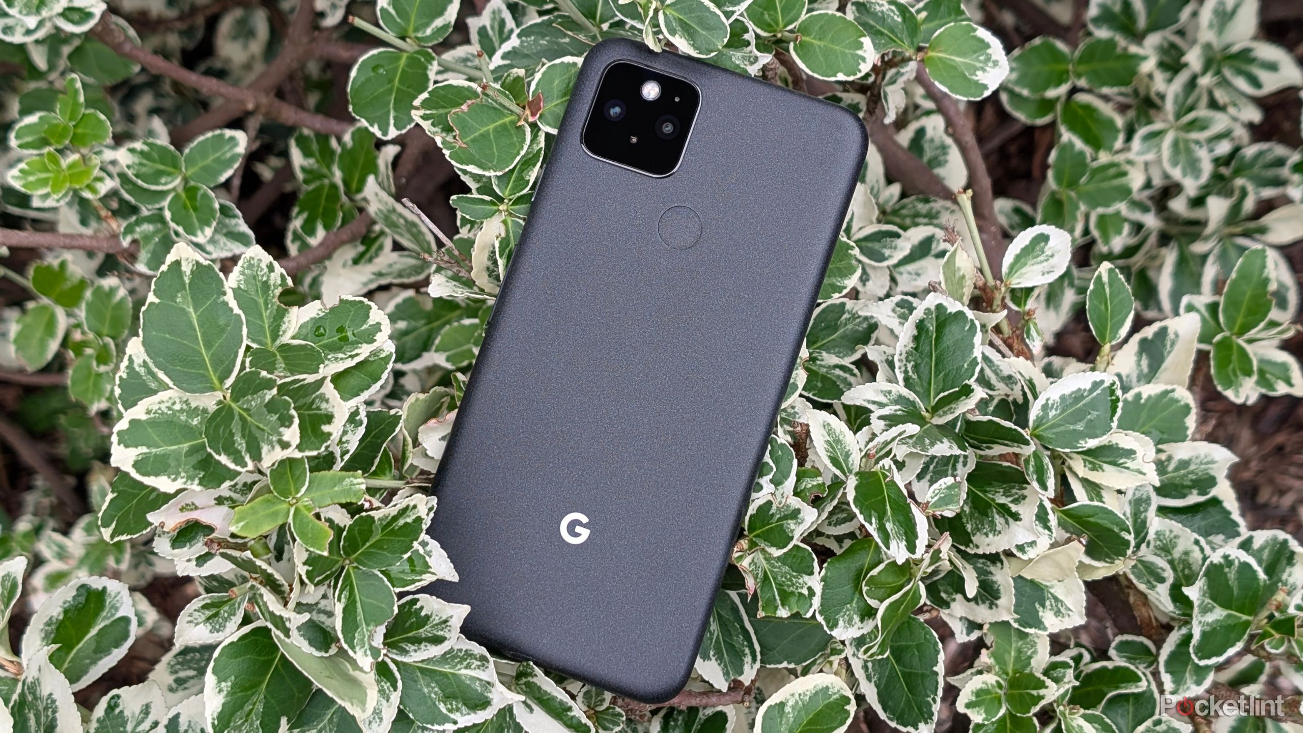 Google Pixel 5 hero image
