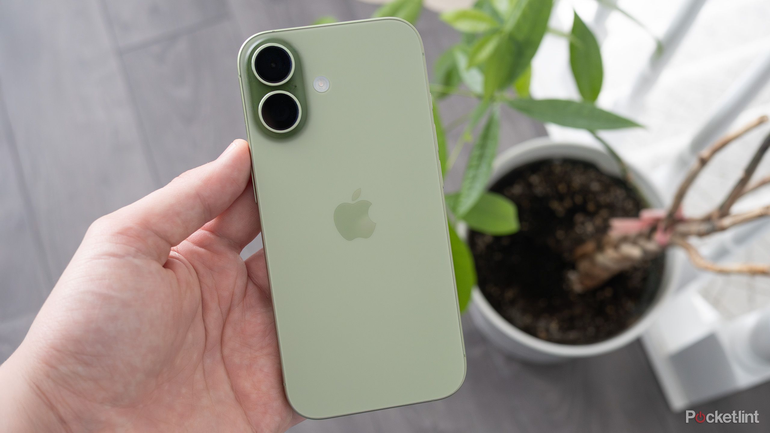 Sage colored iPhone 17 being held