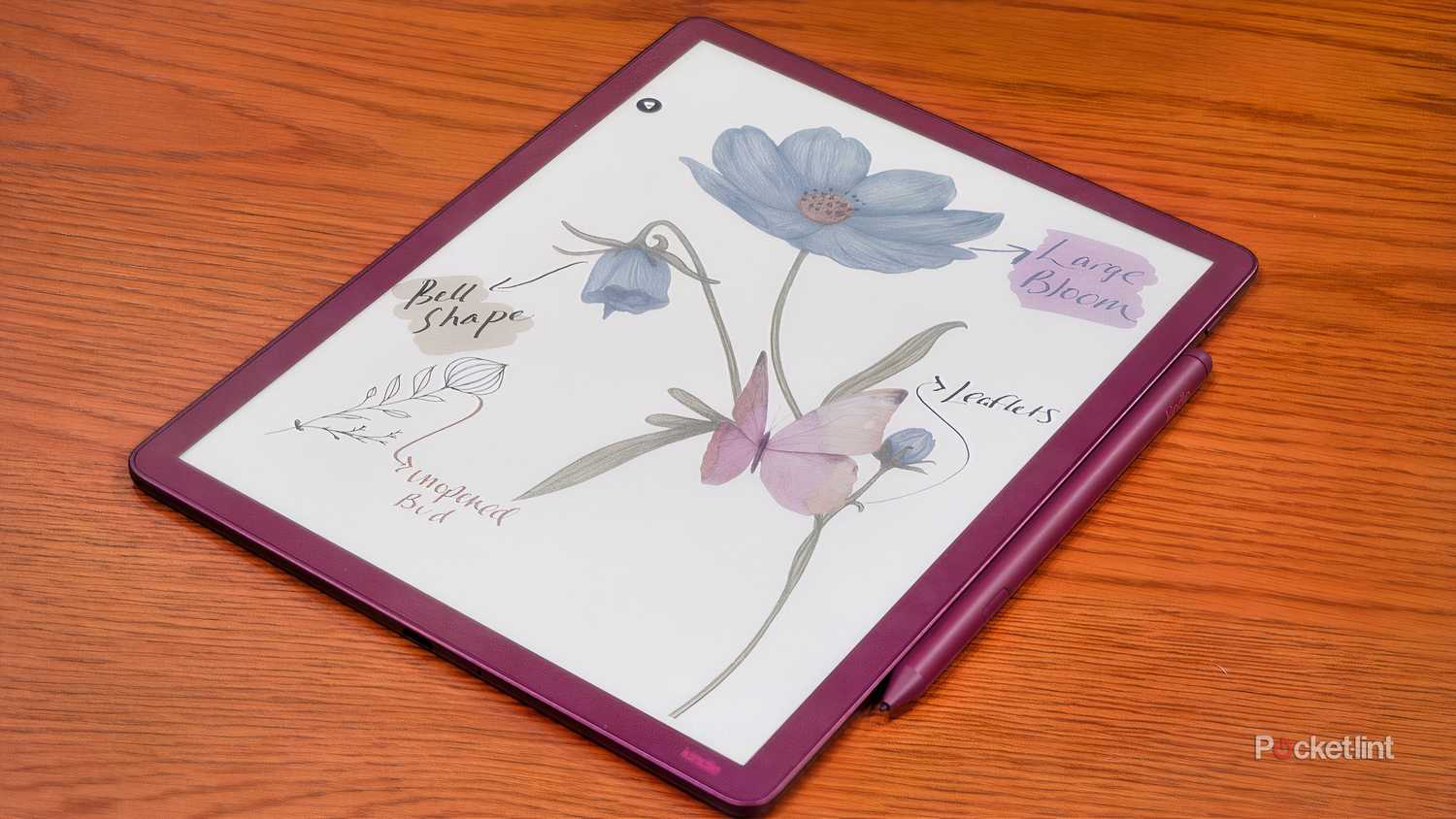Kindle-Scribe-Colorsoft-3-1