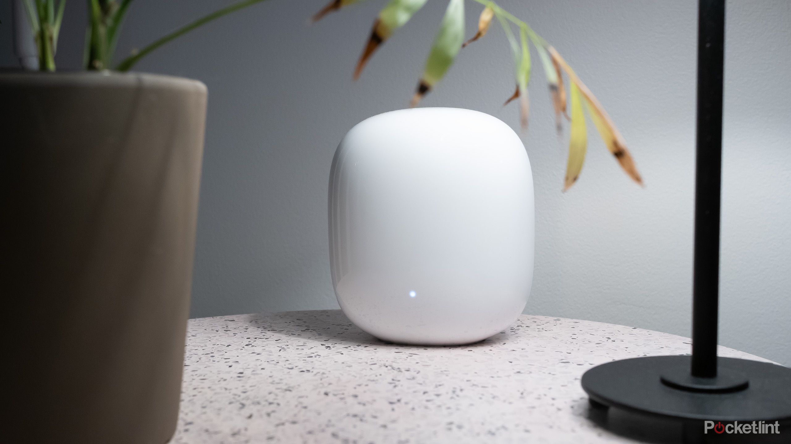 Google's Nest Wifi Pro