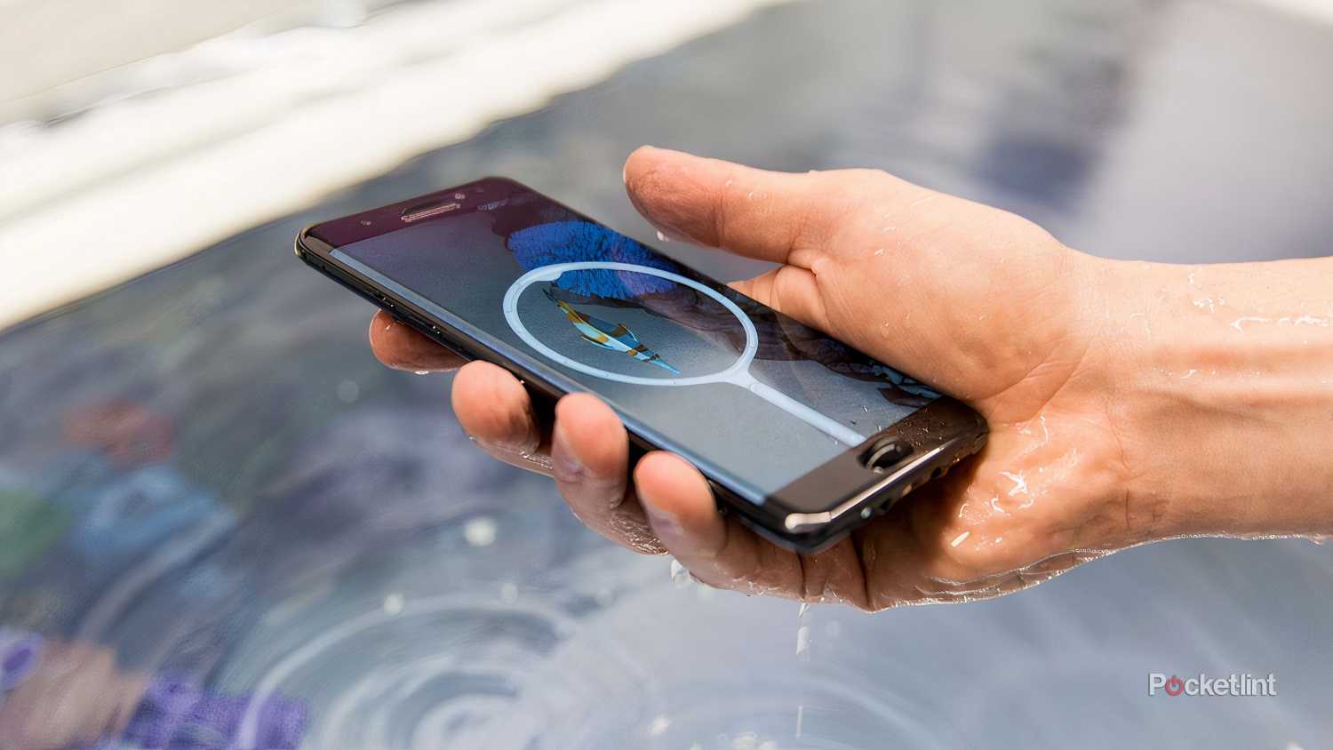 Samsung Galaxy Note 7 being dipped into a body of water.