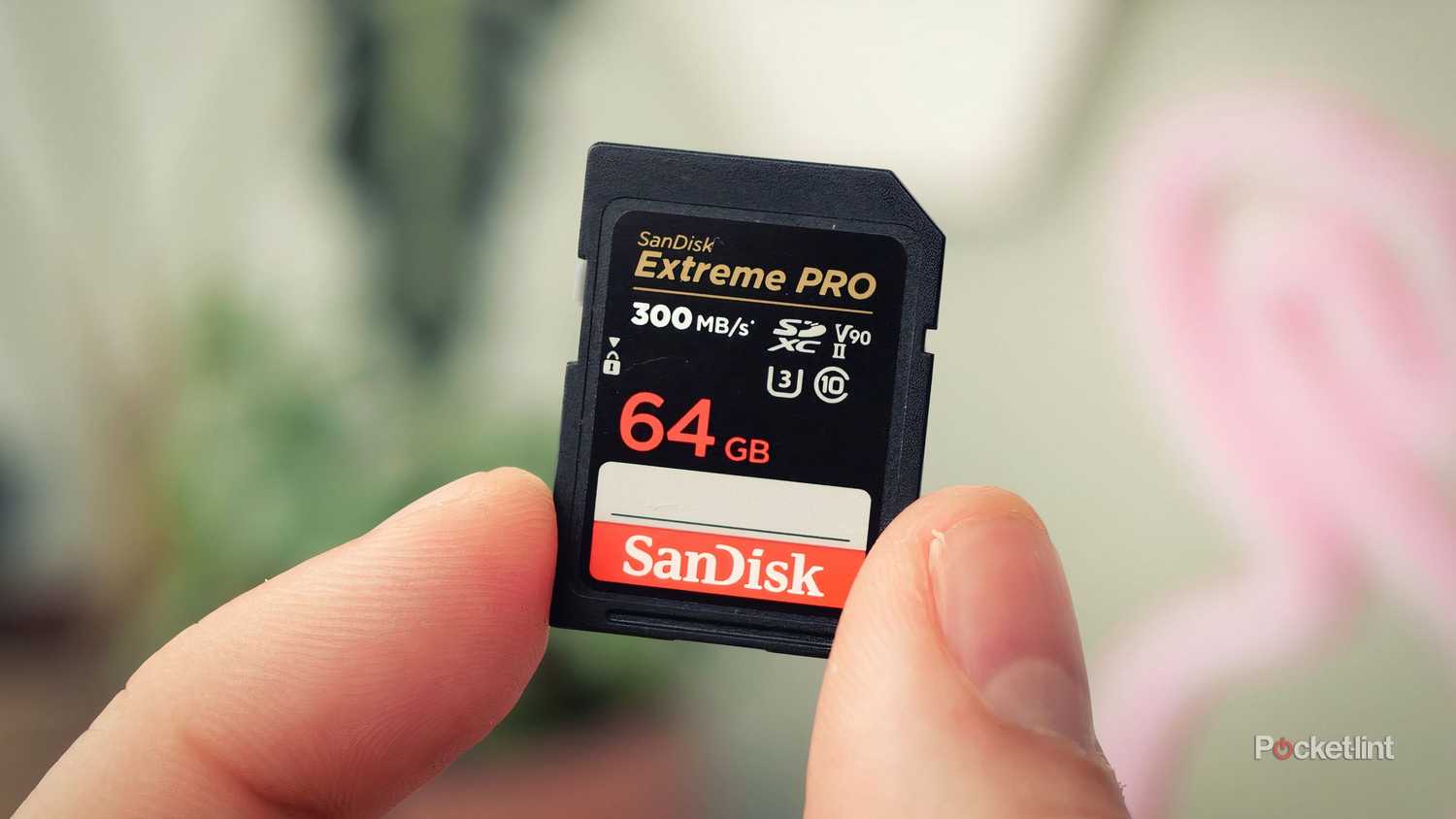 SanDisk SD card held close up. 